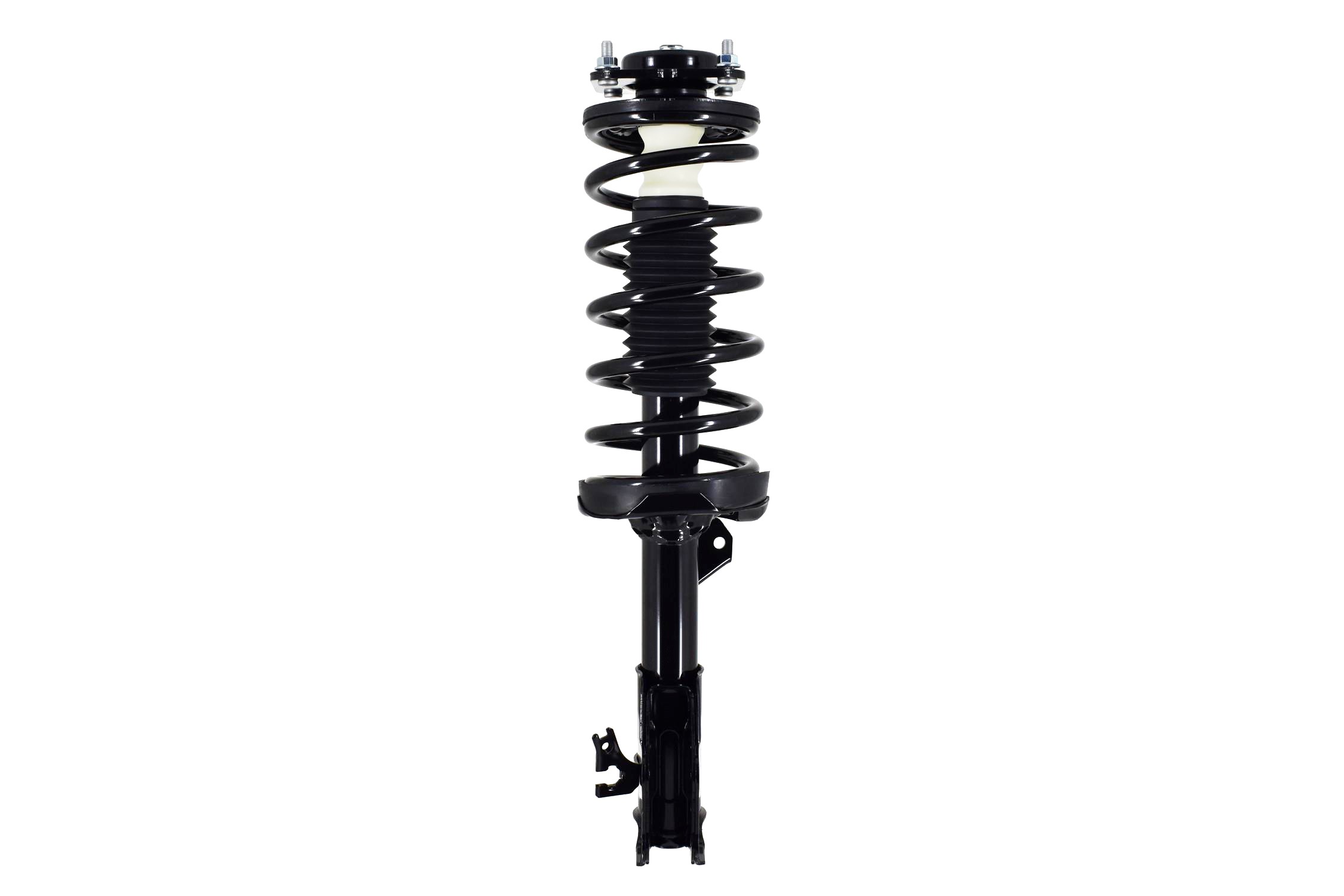 Suspension Strut and Coil Spring Assembly