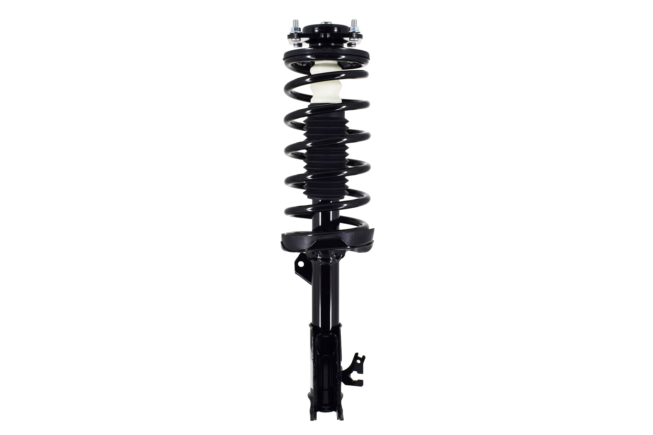 Suspension Strut and Coil Spring Assembly