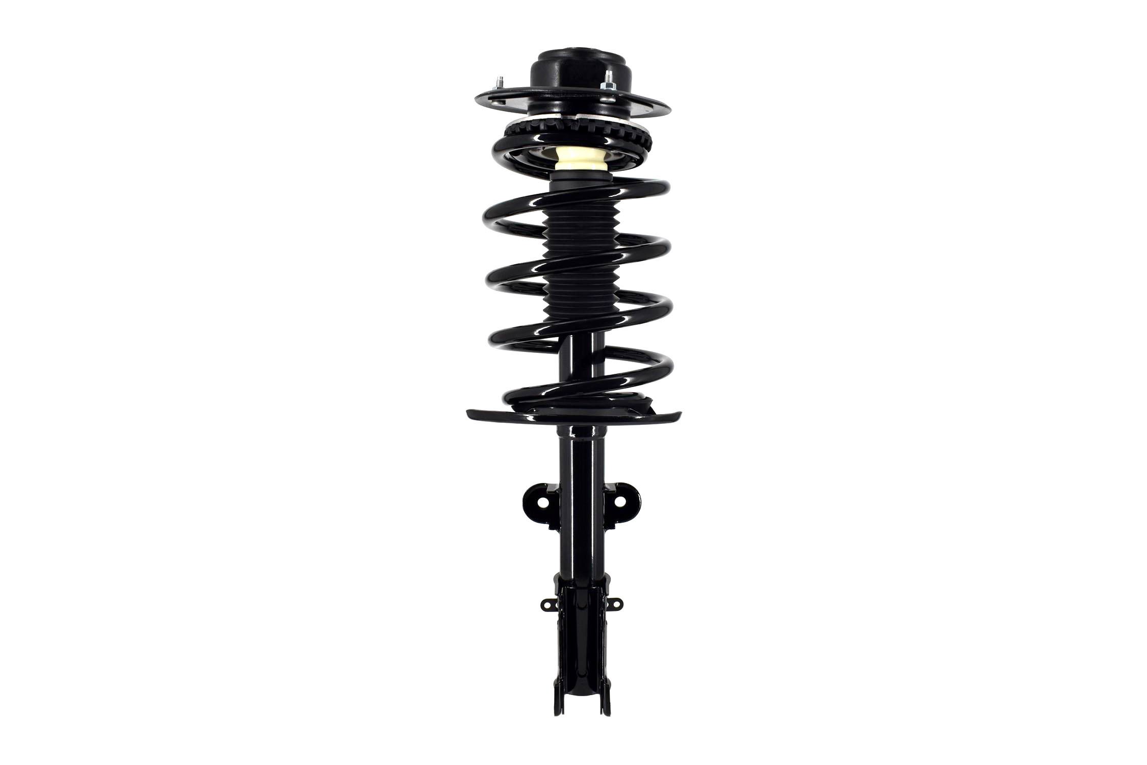 Suspension Strut and Coil Spring Assembly