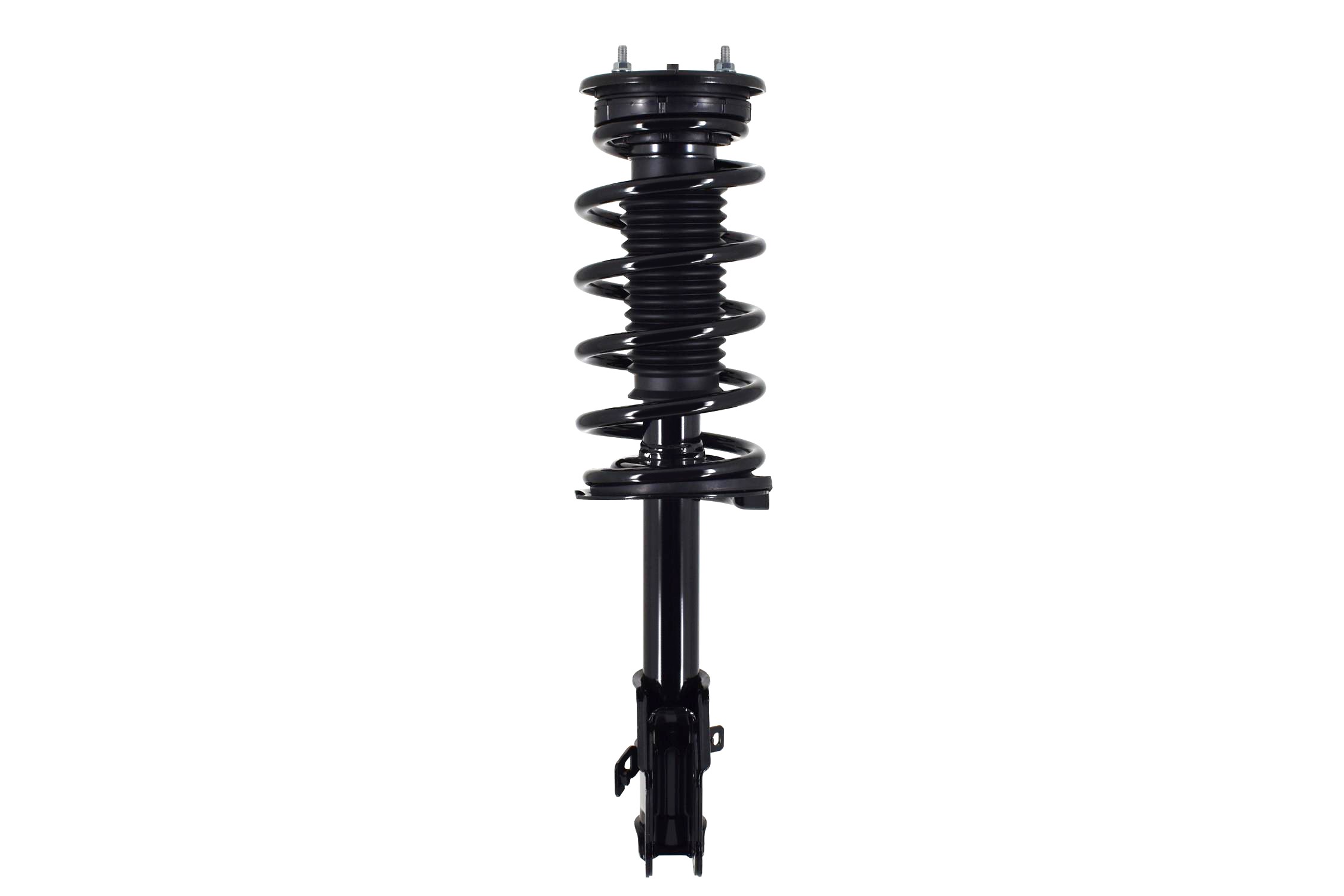 Suspension Strut and Coil Spring Assembly