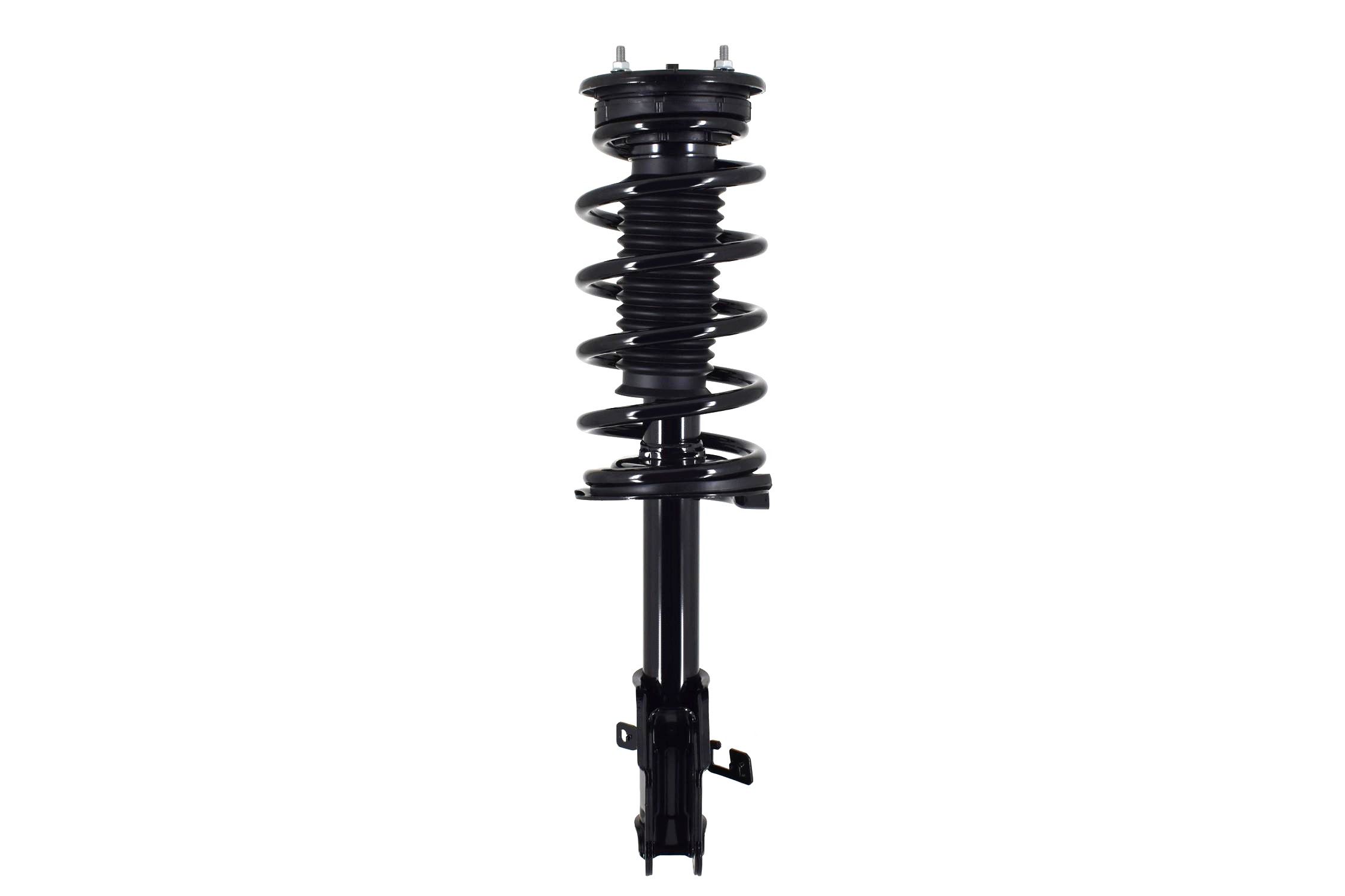 Suspension Strut and Coil Spring Assembly
