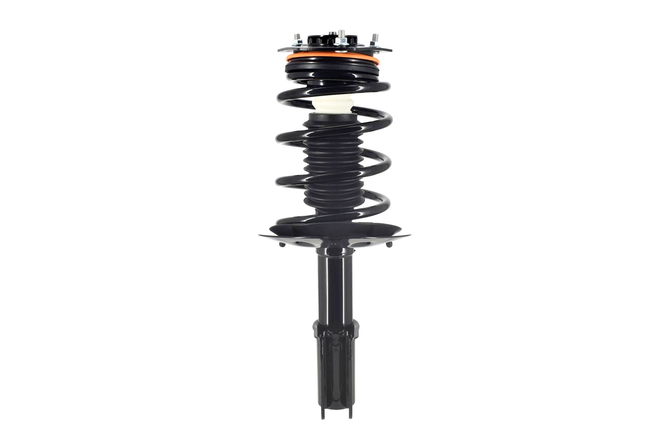 Suspension Strut and Coil Spring Assembly