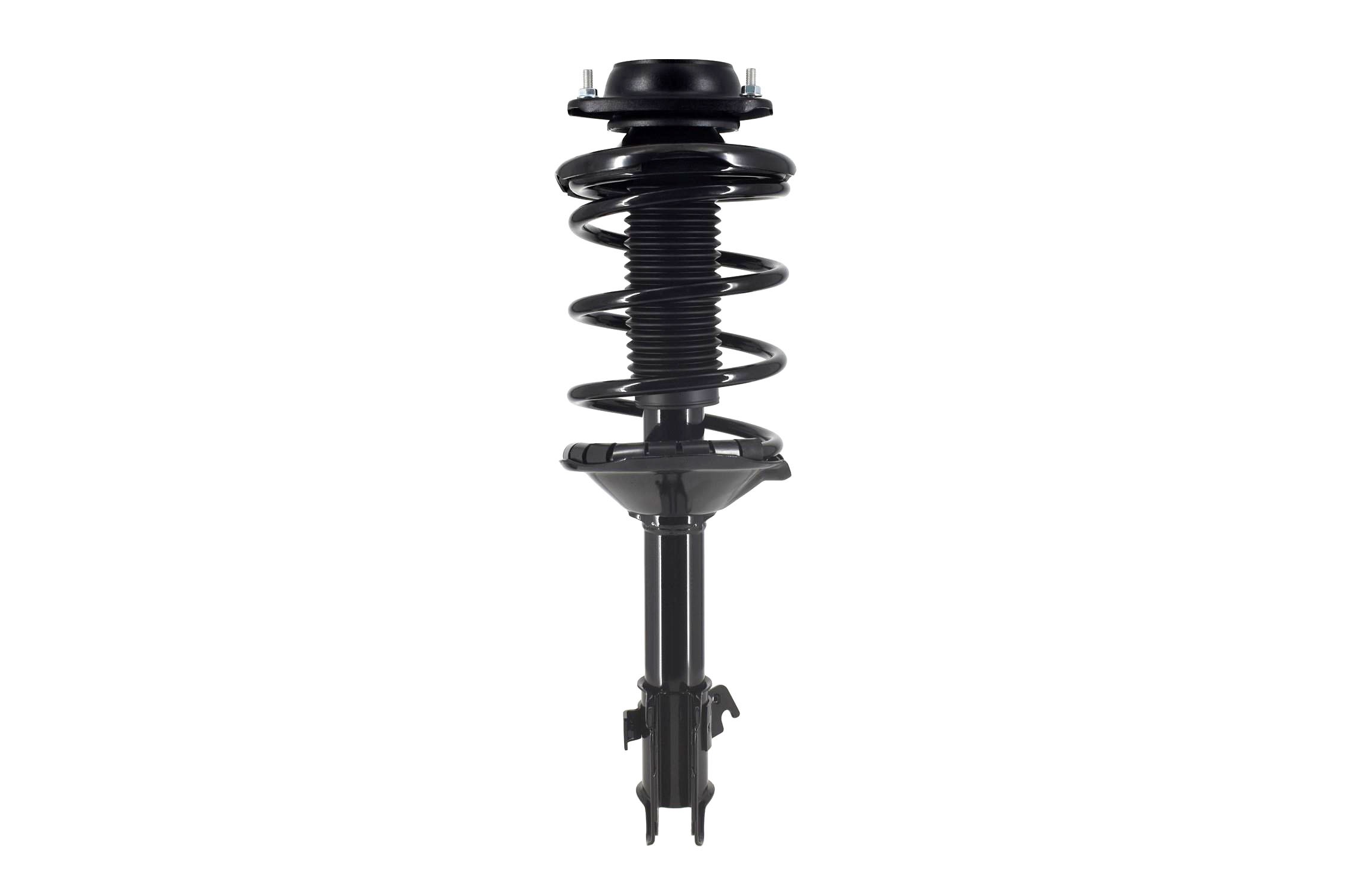 Suspension Strut and Coil Spring Assembly