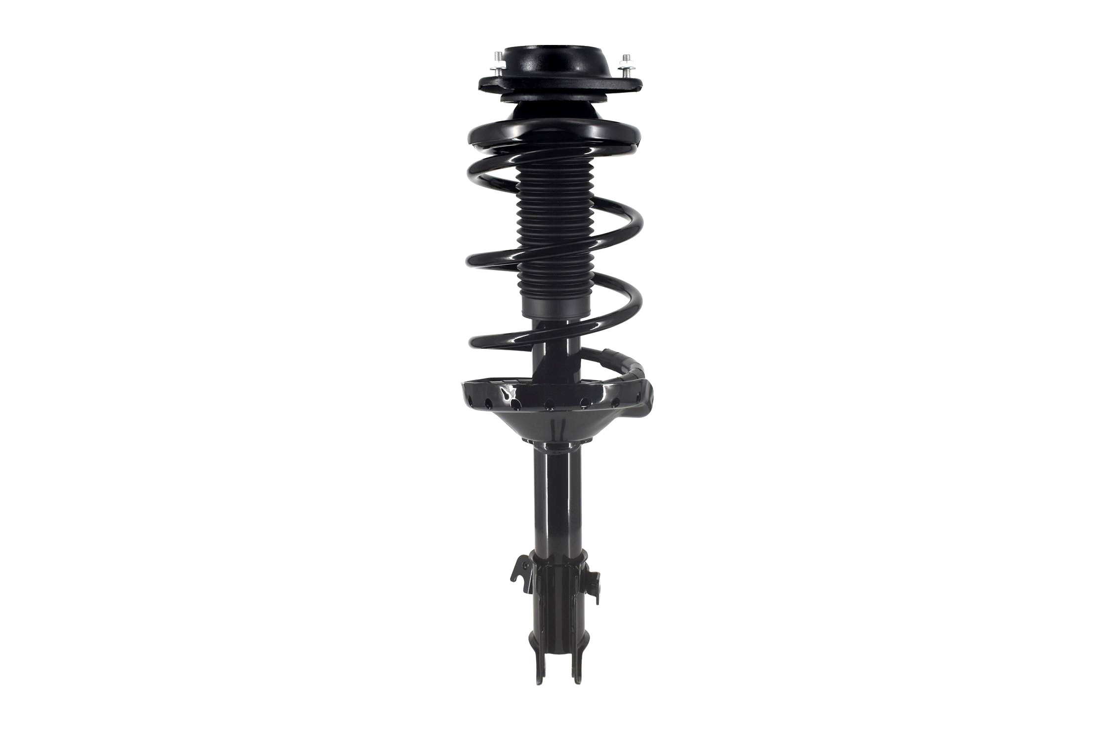 Suspension Strut and Coil Spring Assembly