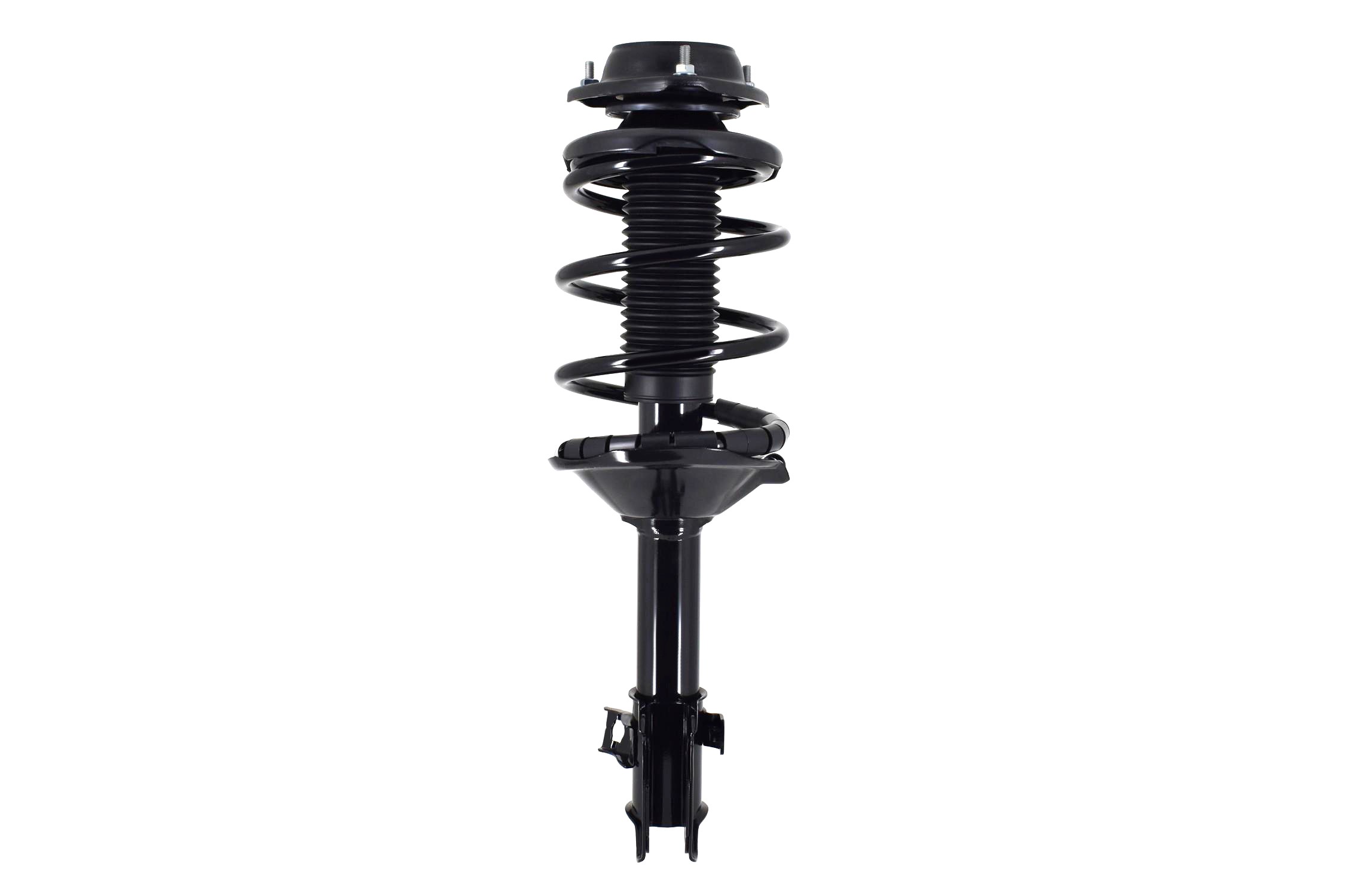 Suspension Strut and Coil Spring Assembly