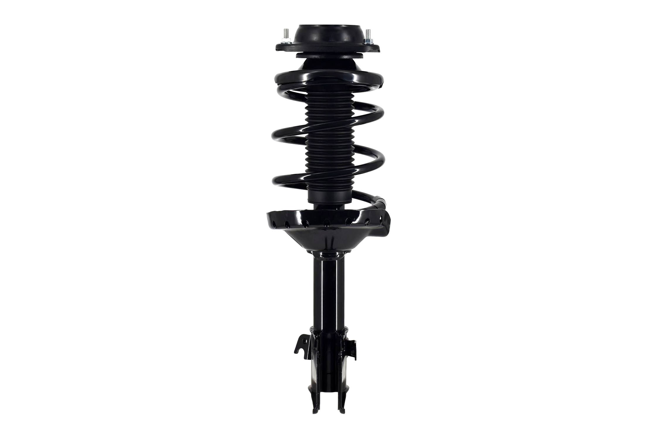 Suspension Strut and Coil Spring Assembly