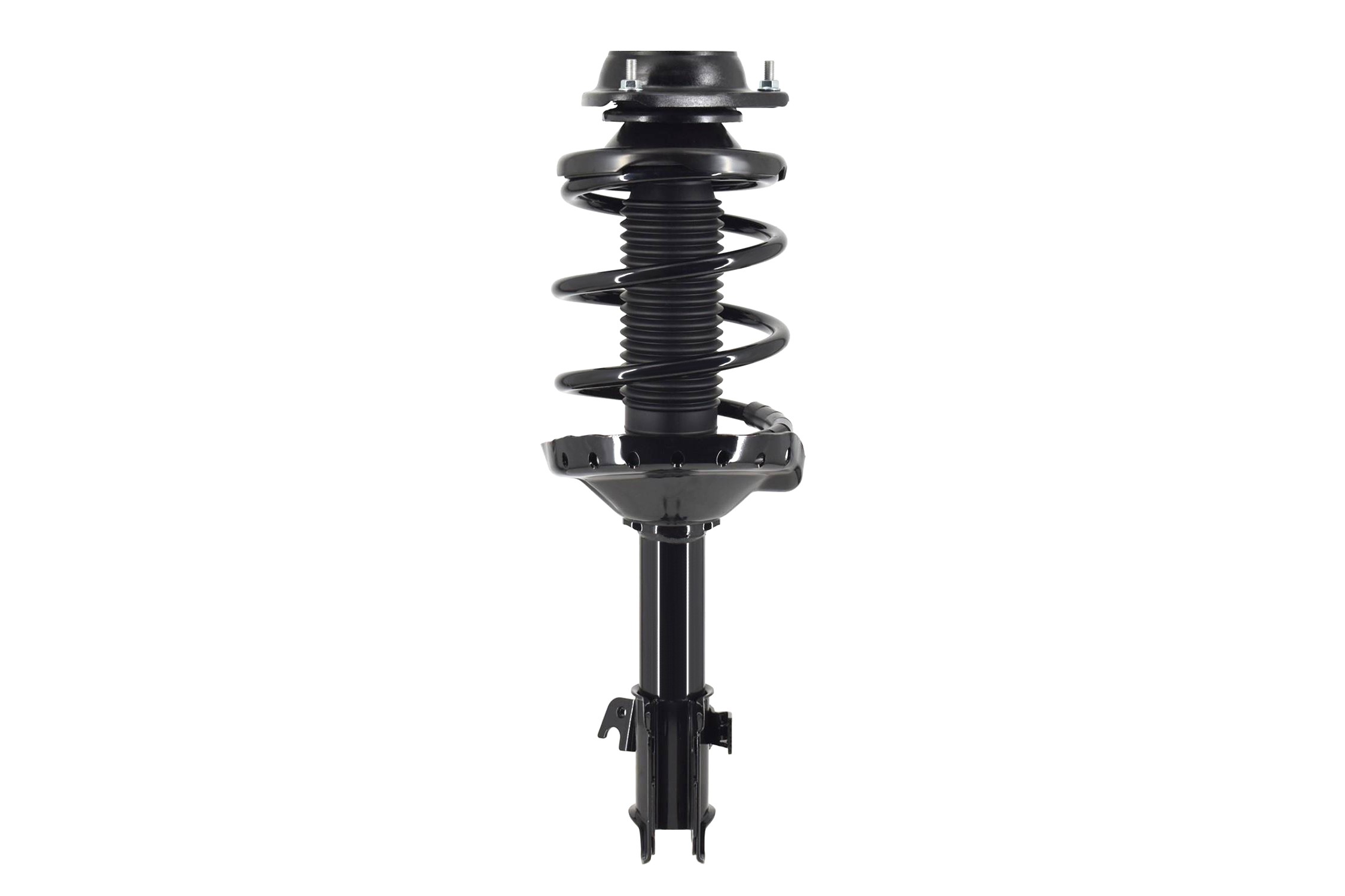 Suspension Strut and Coil Spring Assembly