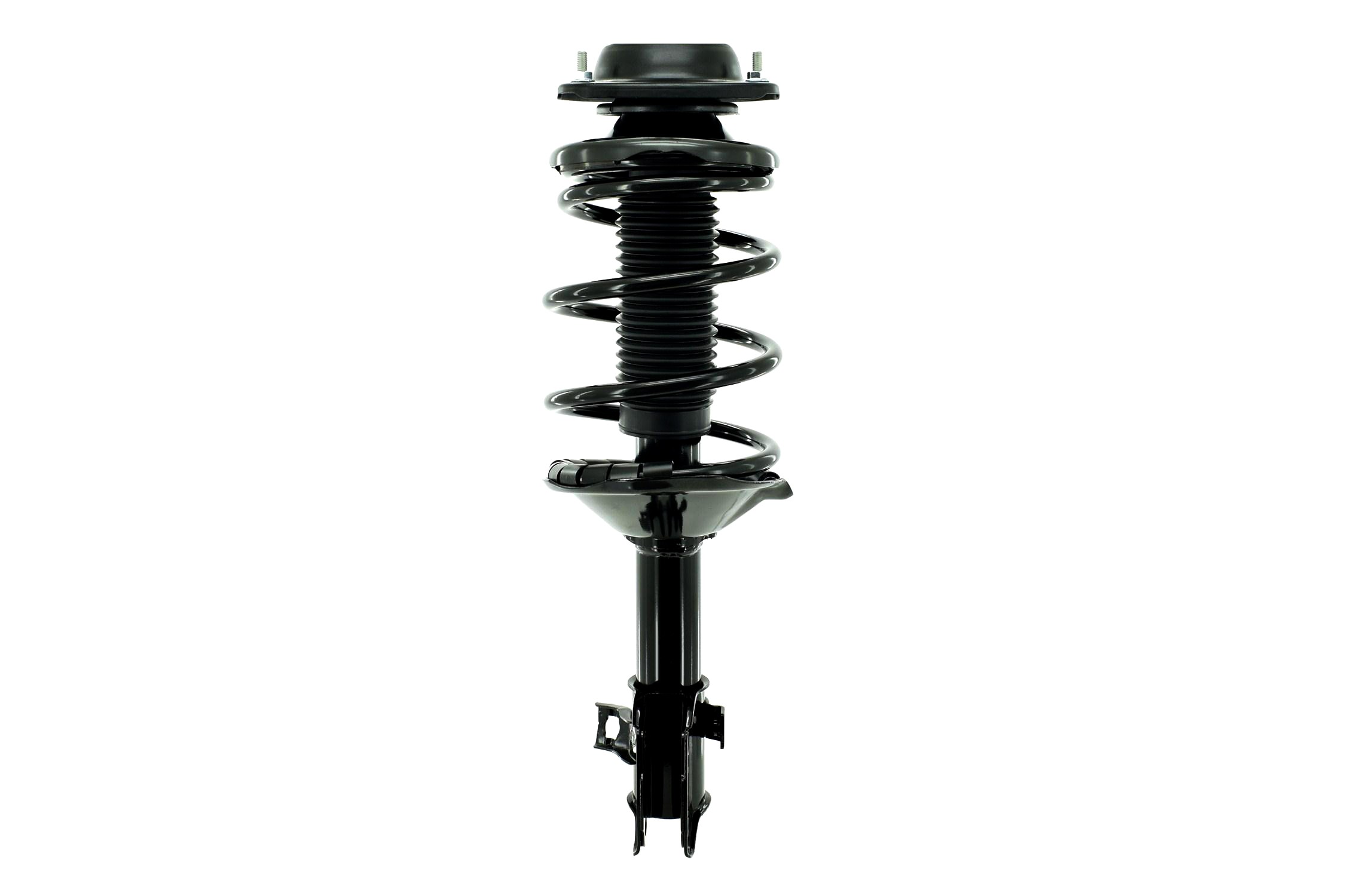 Suspension Strut and Coil Spring Assembly