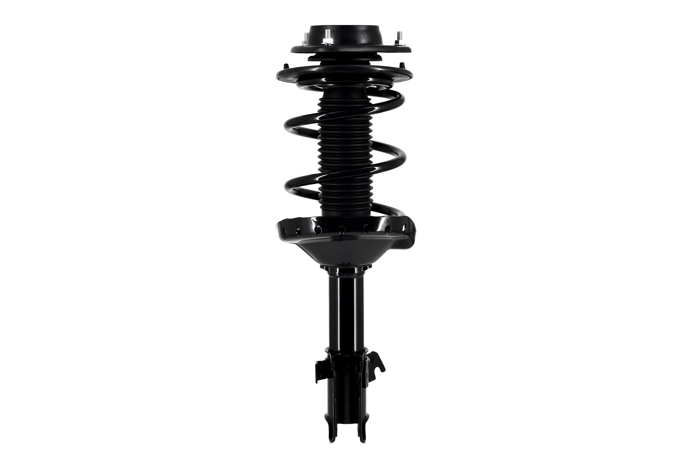 Suspension Strut and Coil Spring Assembly