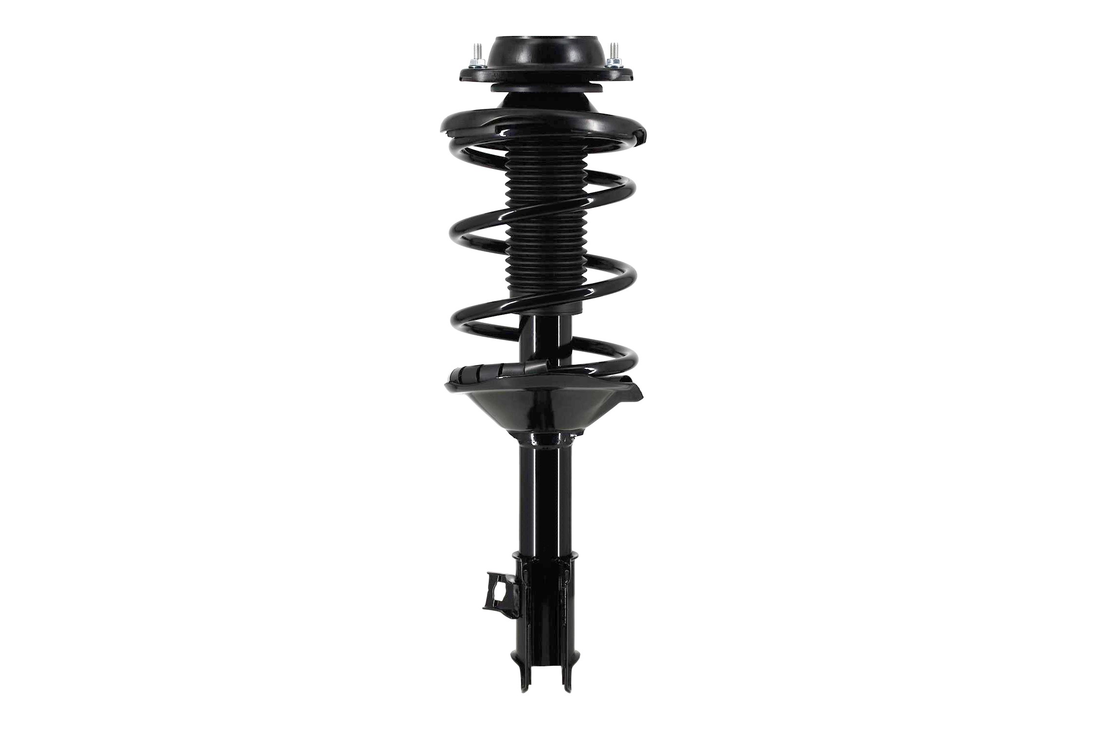 Suspension Strut and Coil Spring Assembly