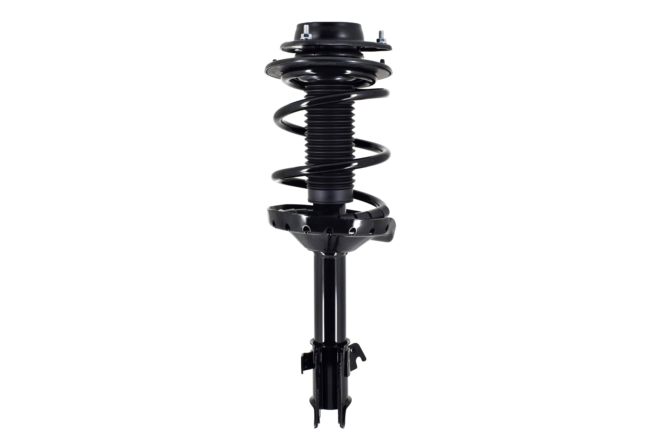 Suspension Strut and Coil Spring Assembly