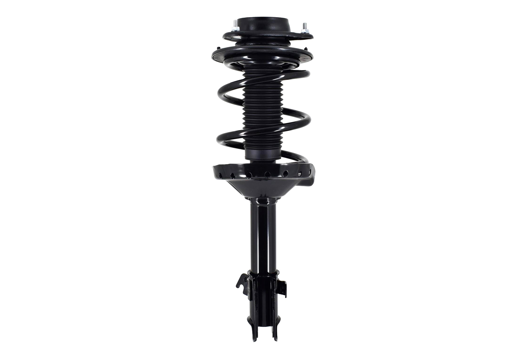 Suspension Strut and Coil Spring Assembly