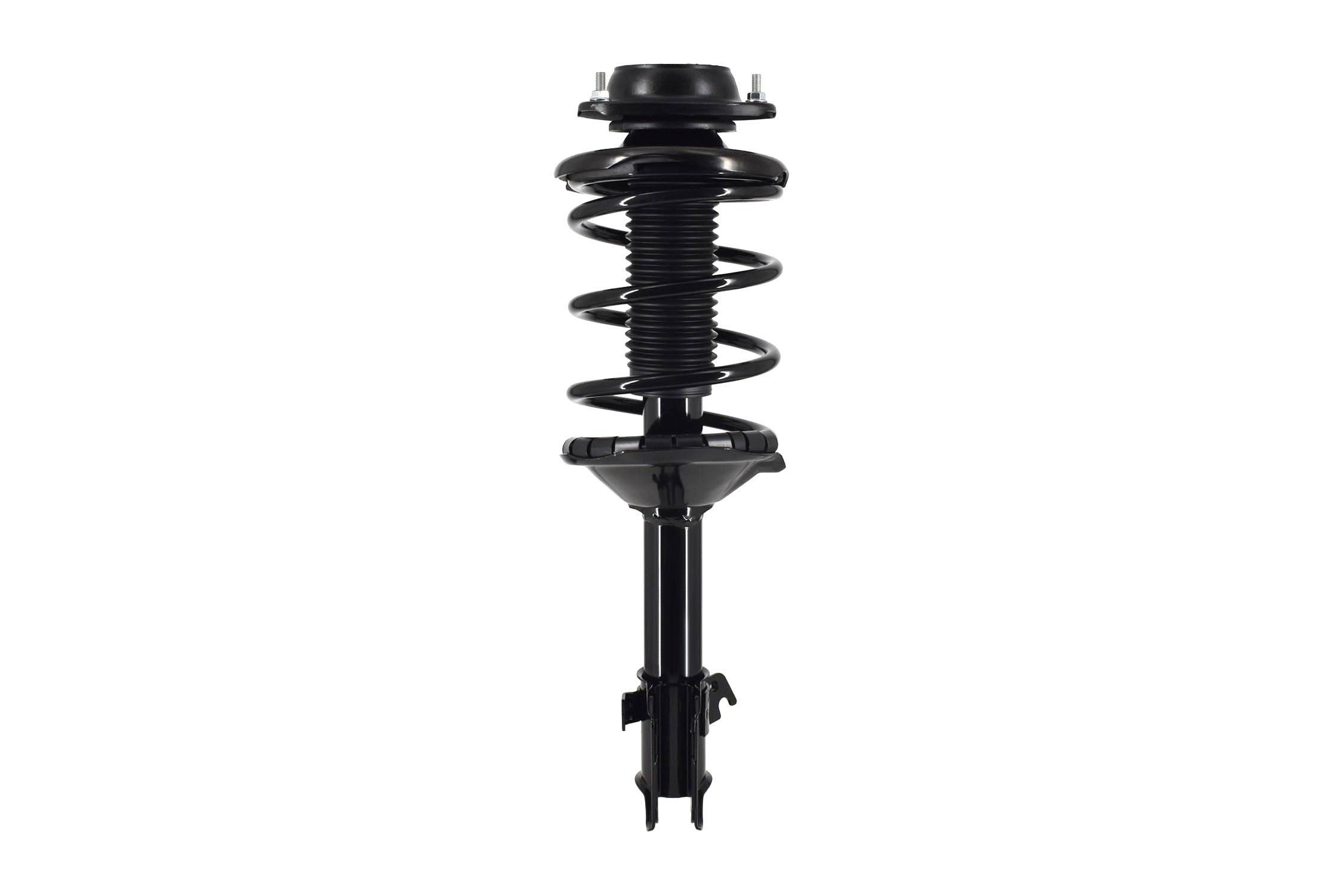 Suspension Strut and Coil Spring Assembly