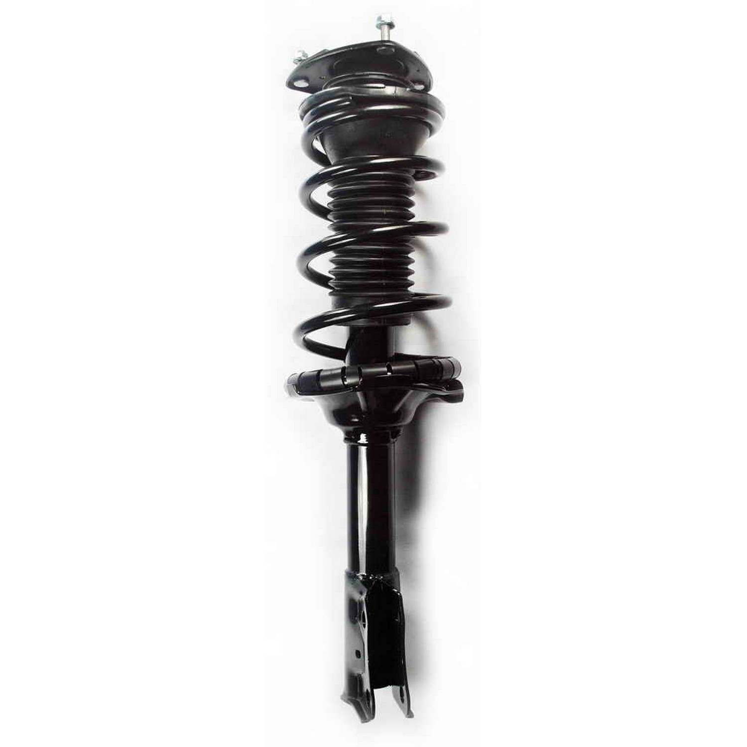 Suspension Strut and Coil Spring Assembly