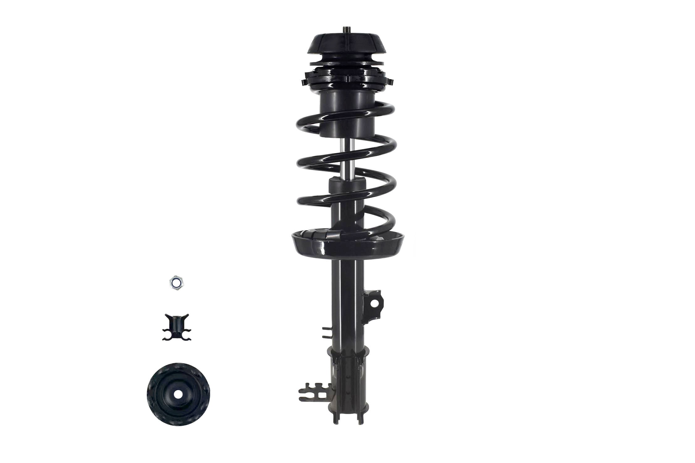 Suspension Strut and Coil Spring Assembly
