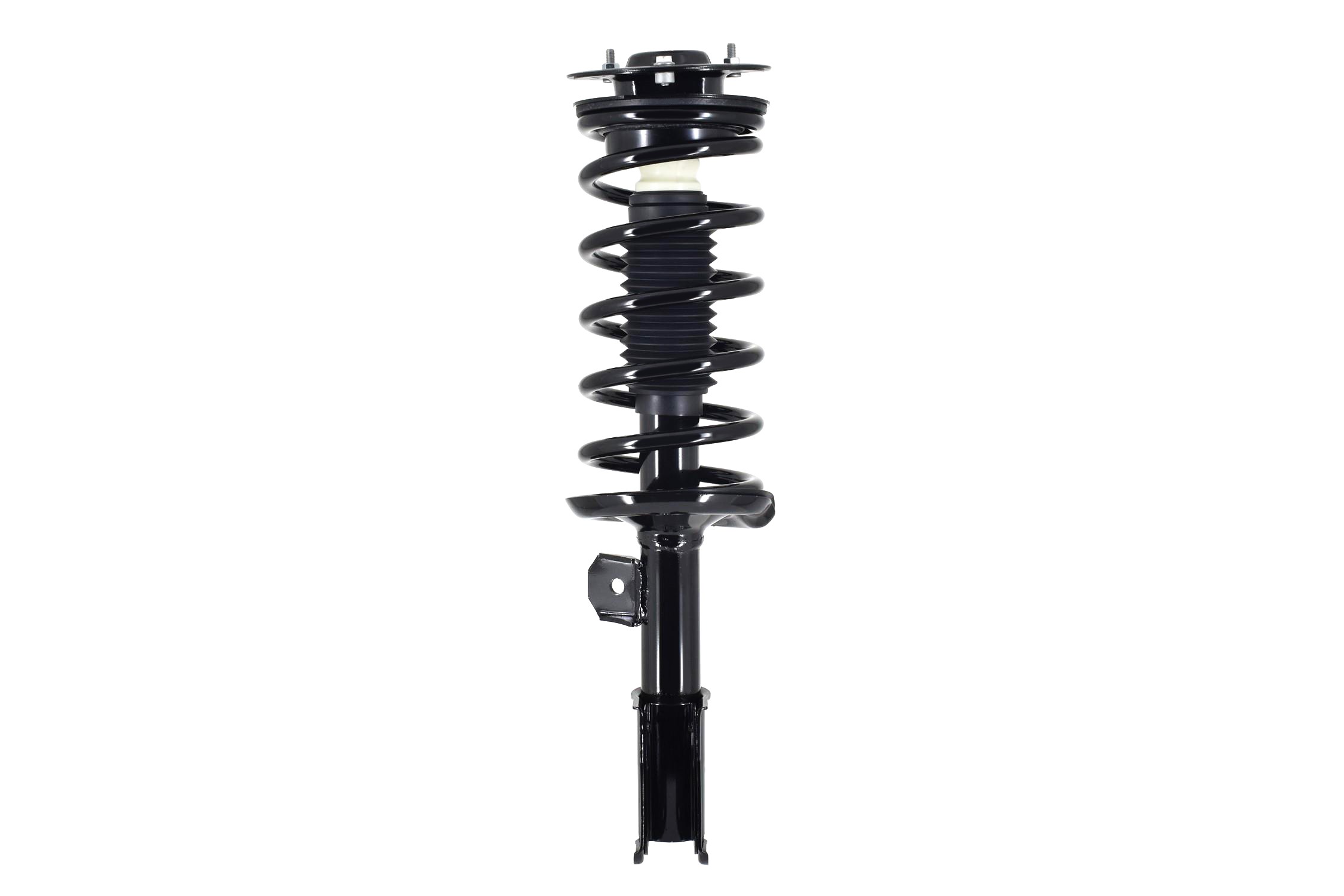 Suspension Strut and Coil Spring Assembly
