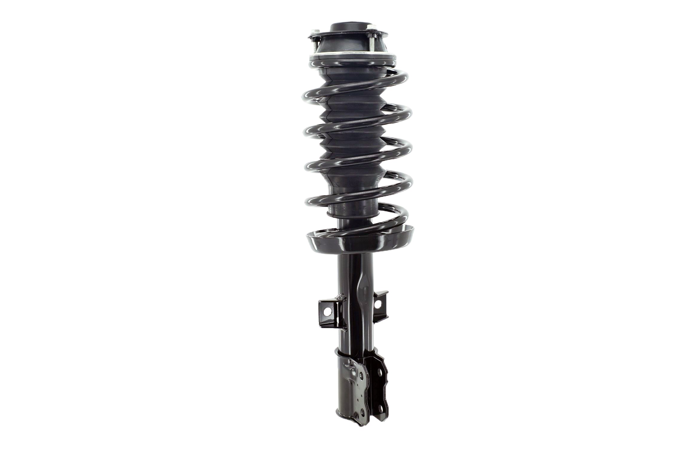 Suspension Strut and Coil Spring Assembly