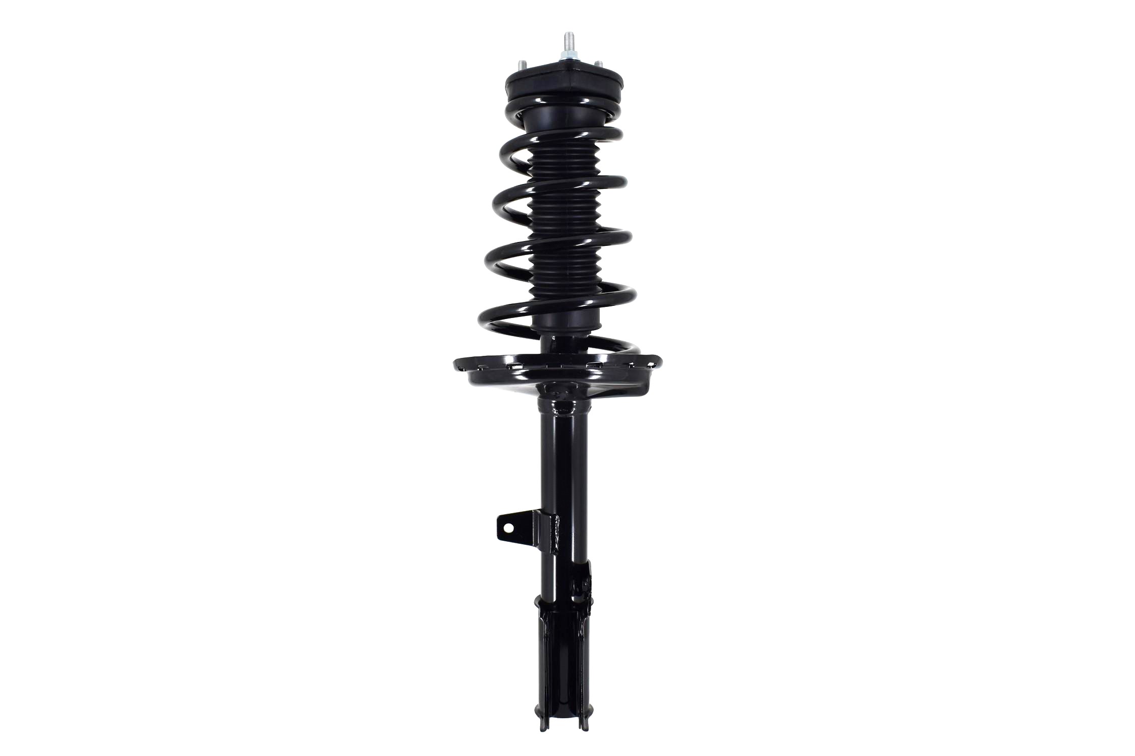 Suspension Strut and Coil Spring Assembly