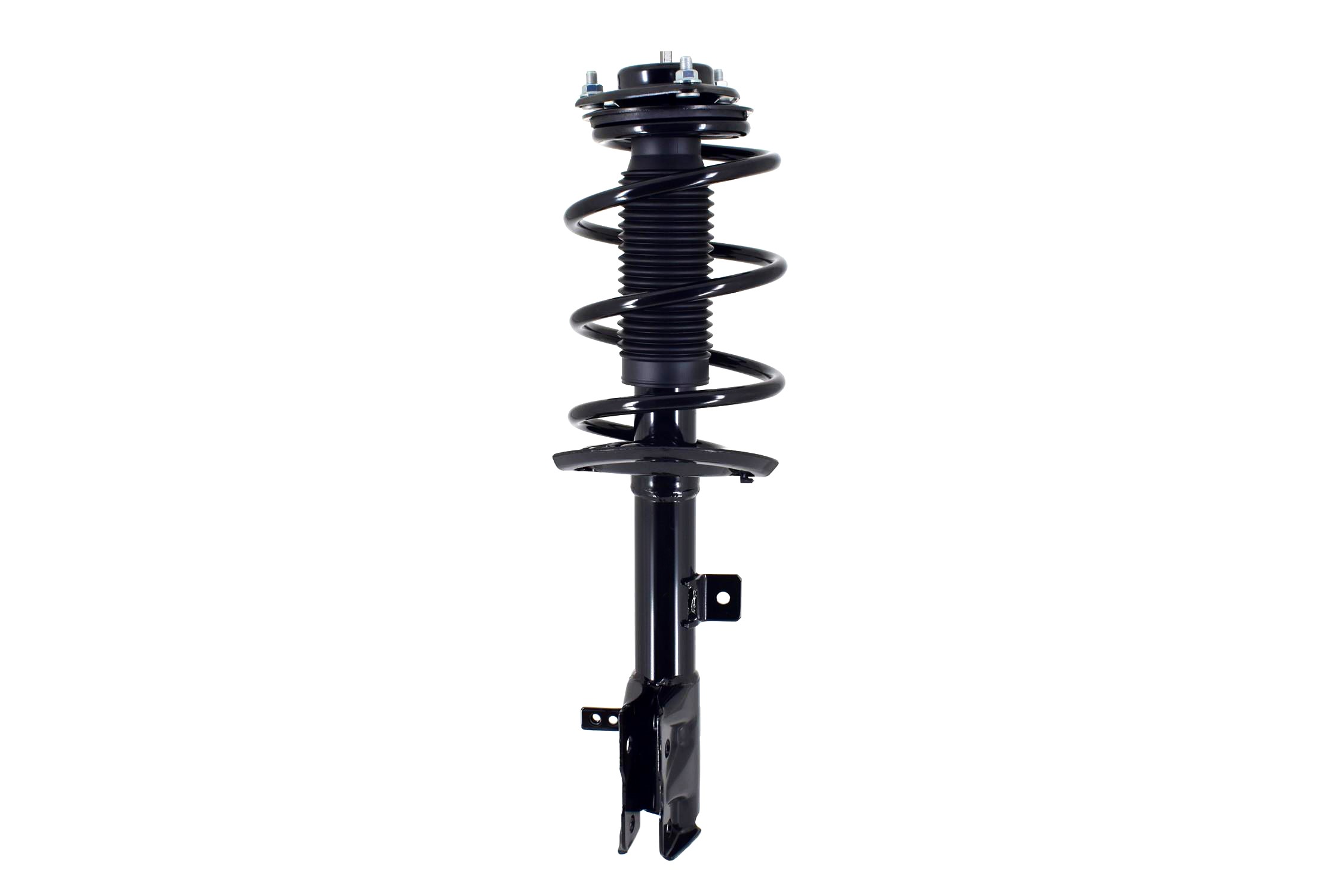 Suspension Strut and Coil Spring Assembly