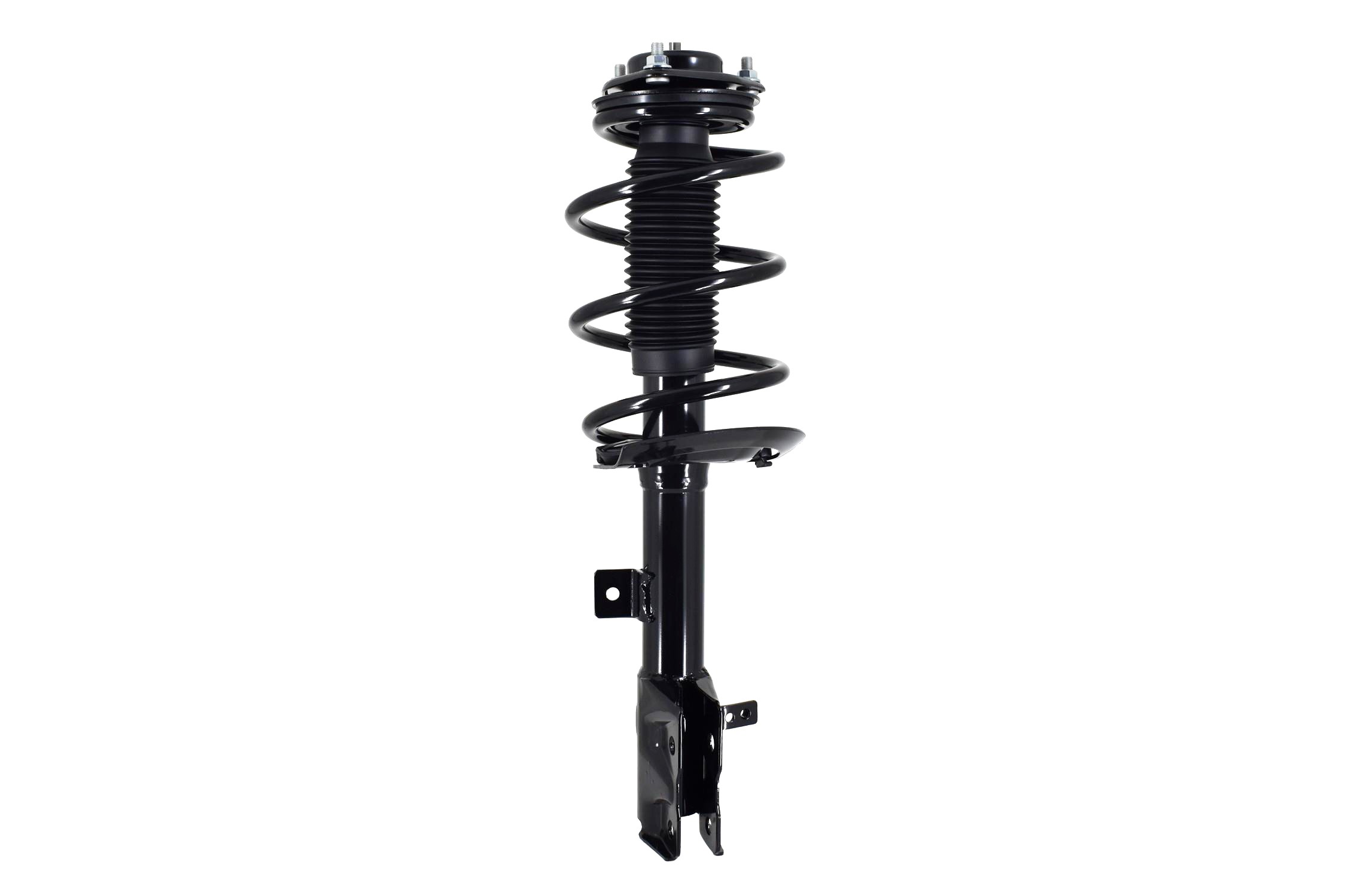 Suspension Strut and Coil Spring Assembly