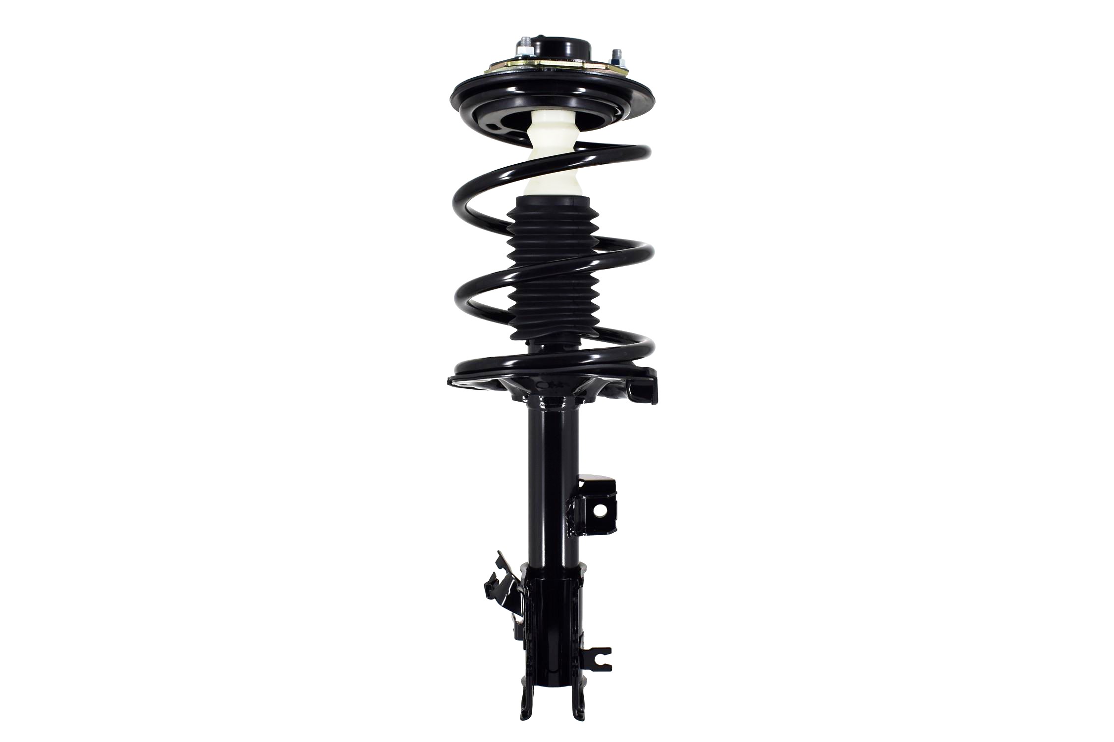 Suspension Strut and Coil Spring Assembly