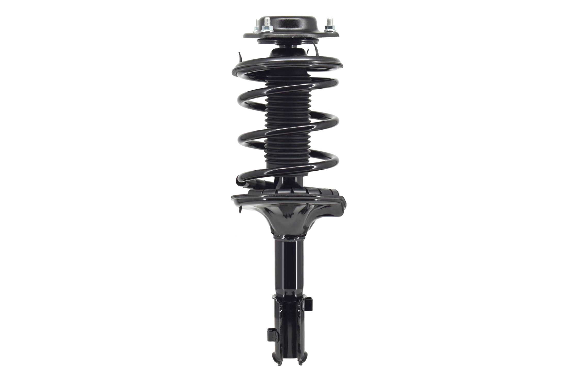 Suspension Strut and Coil Spring Assembly