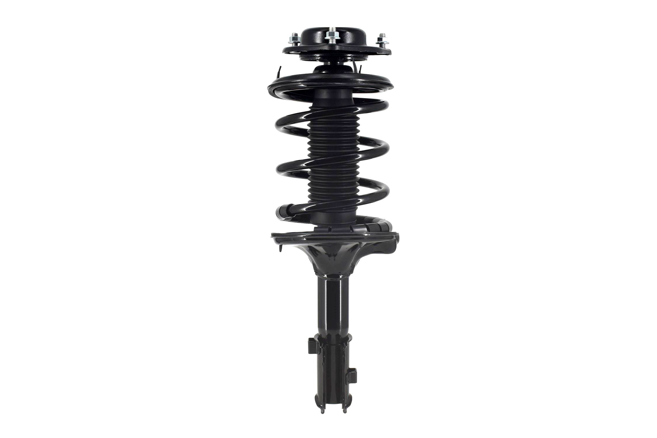 Suspension Strut and Coil Spring Assembly