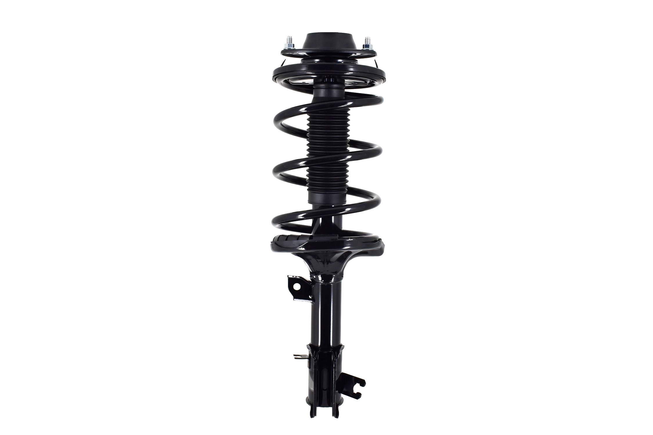 Suspension Strut and Coil Spring Assembly