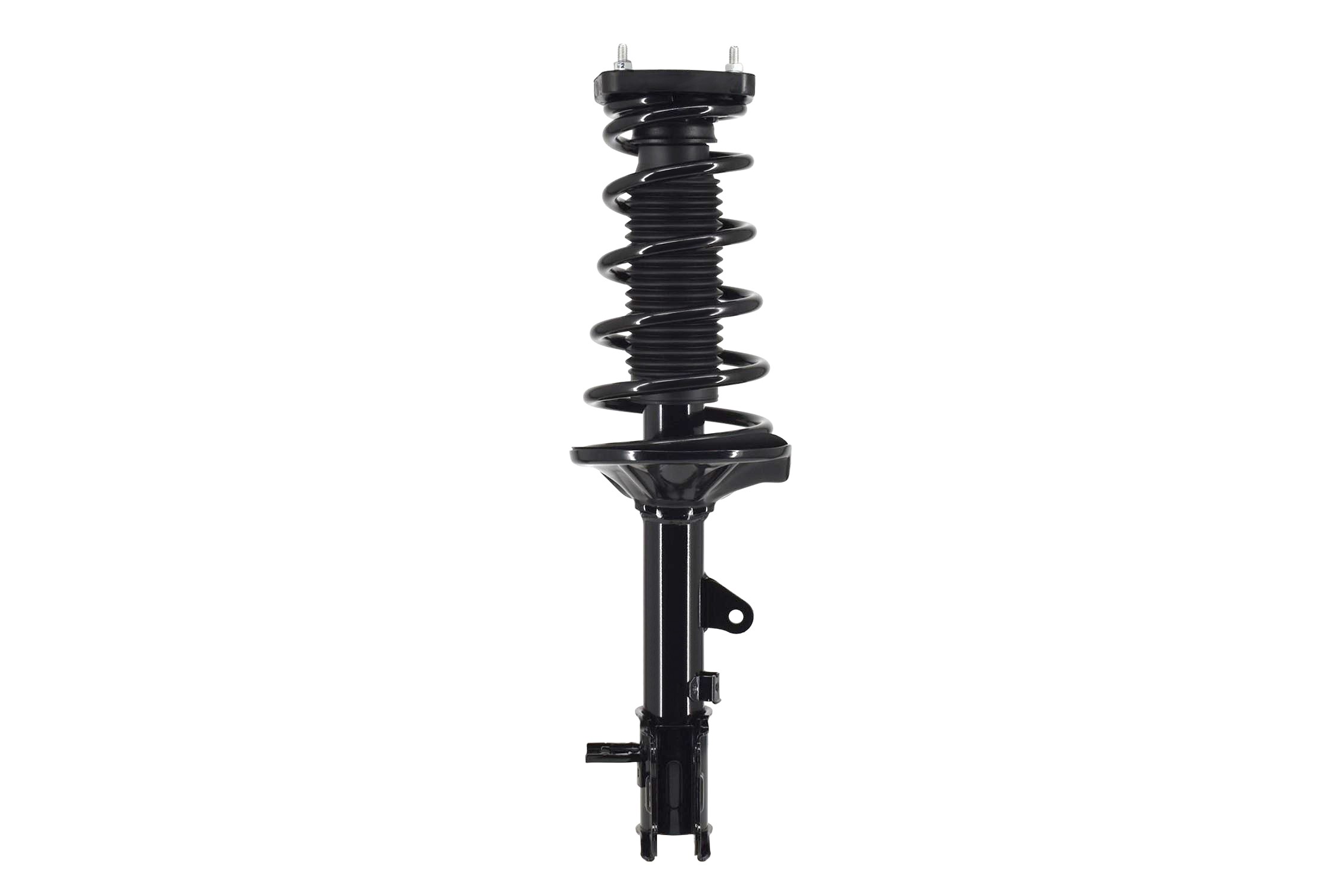 Suspension Strut and Coil Spring Assembly