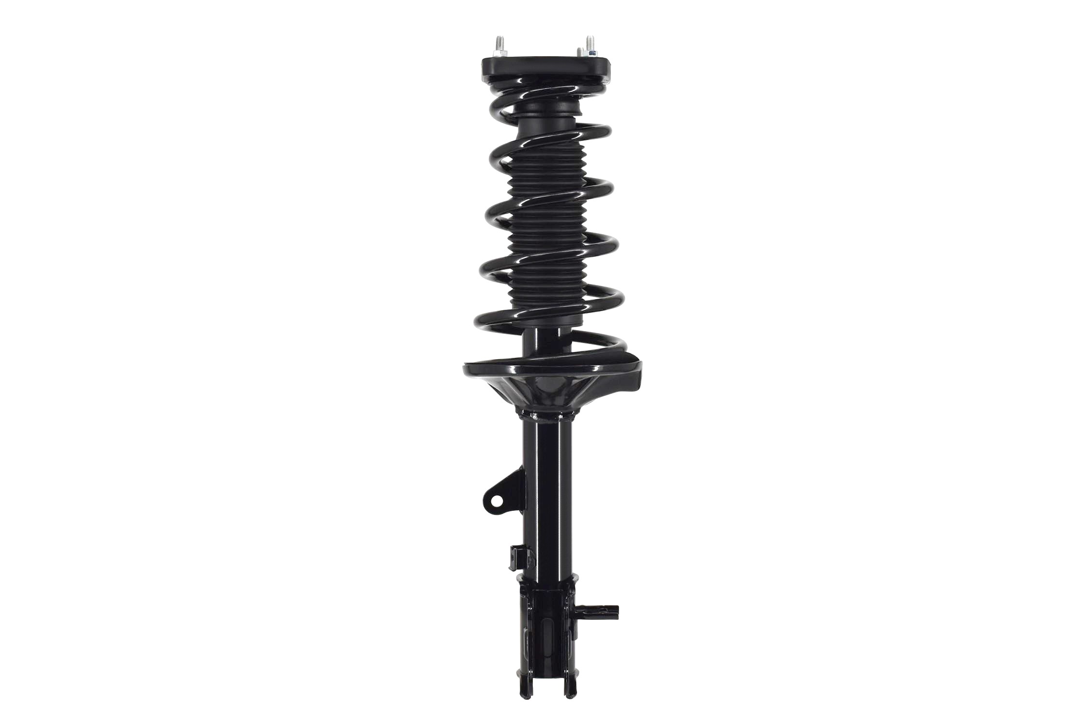 Suspension Strut and Coil Spring Assembly