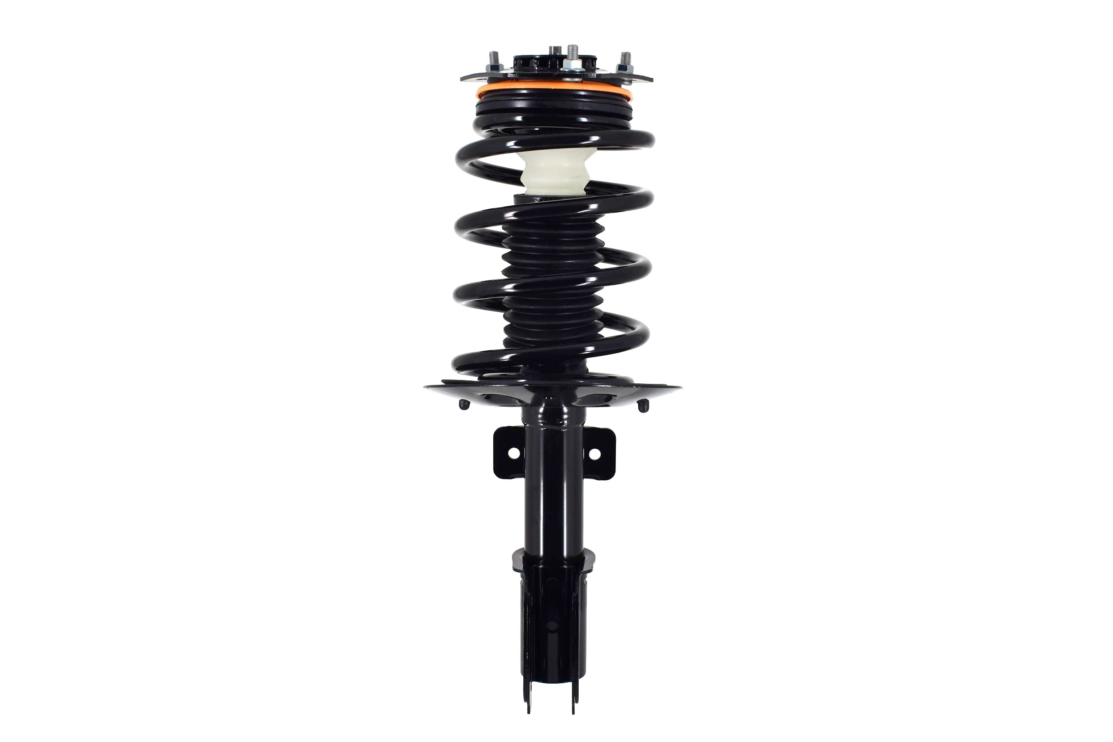 Suspension Strut and Coil Spring Assembly
