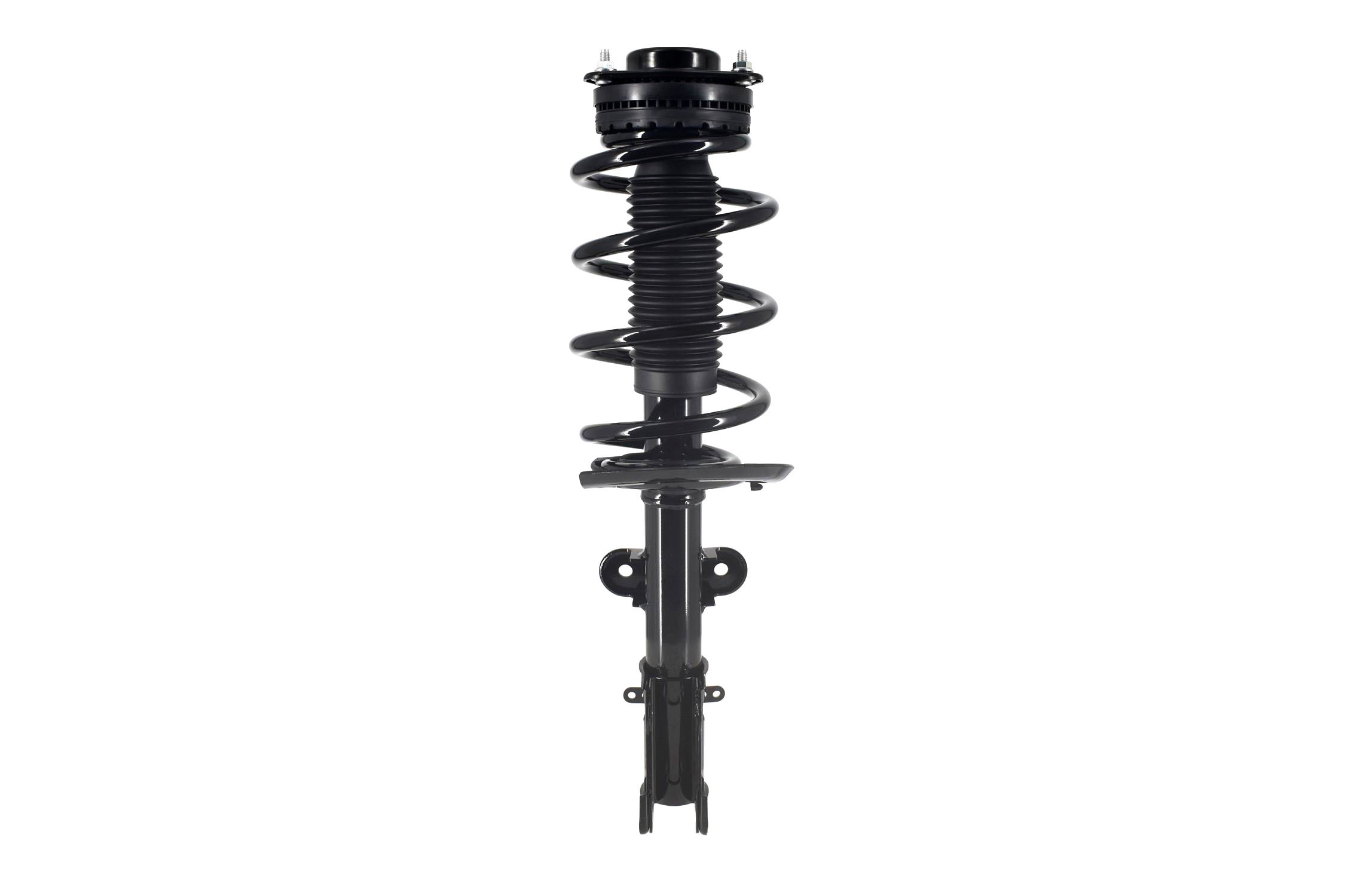Suspension Strut and Coil Spring Assembly