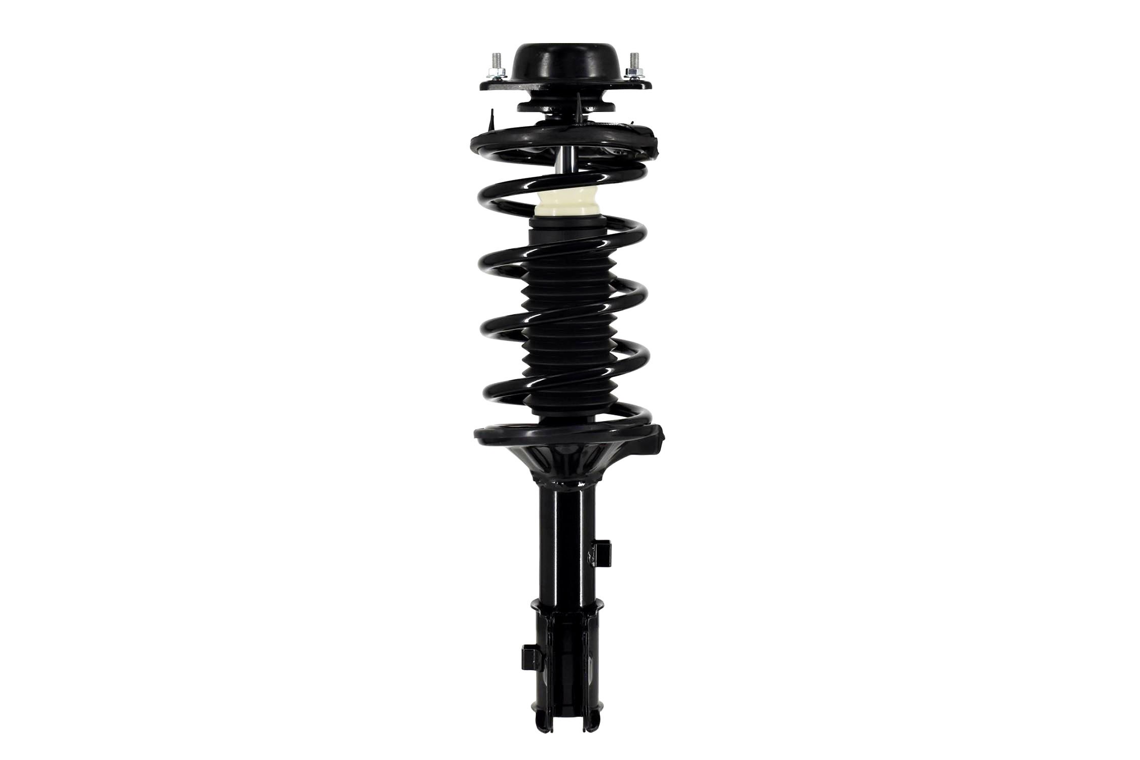 Suspension Strut and Coil Spring Assembly