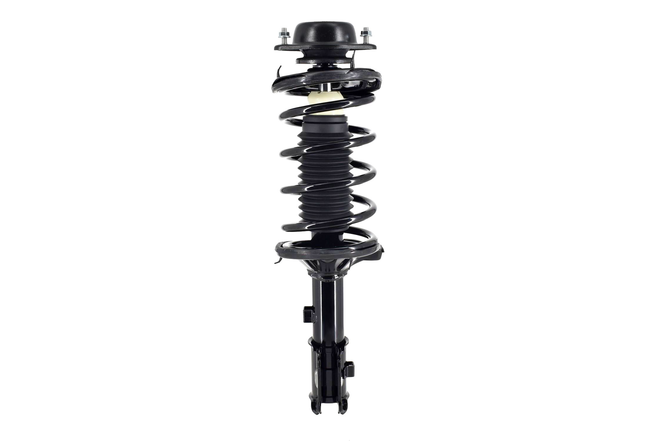 Suspension Strut and Coil Spring Assembly
