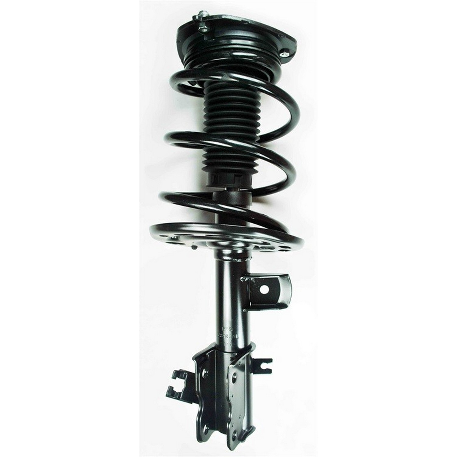 Suspension Strut and Coil Spring Assembly