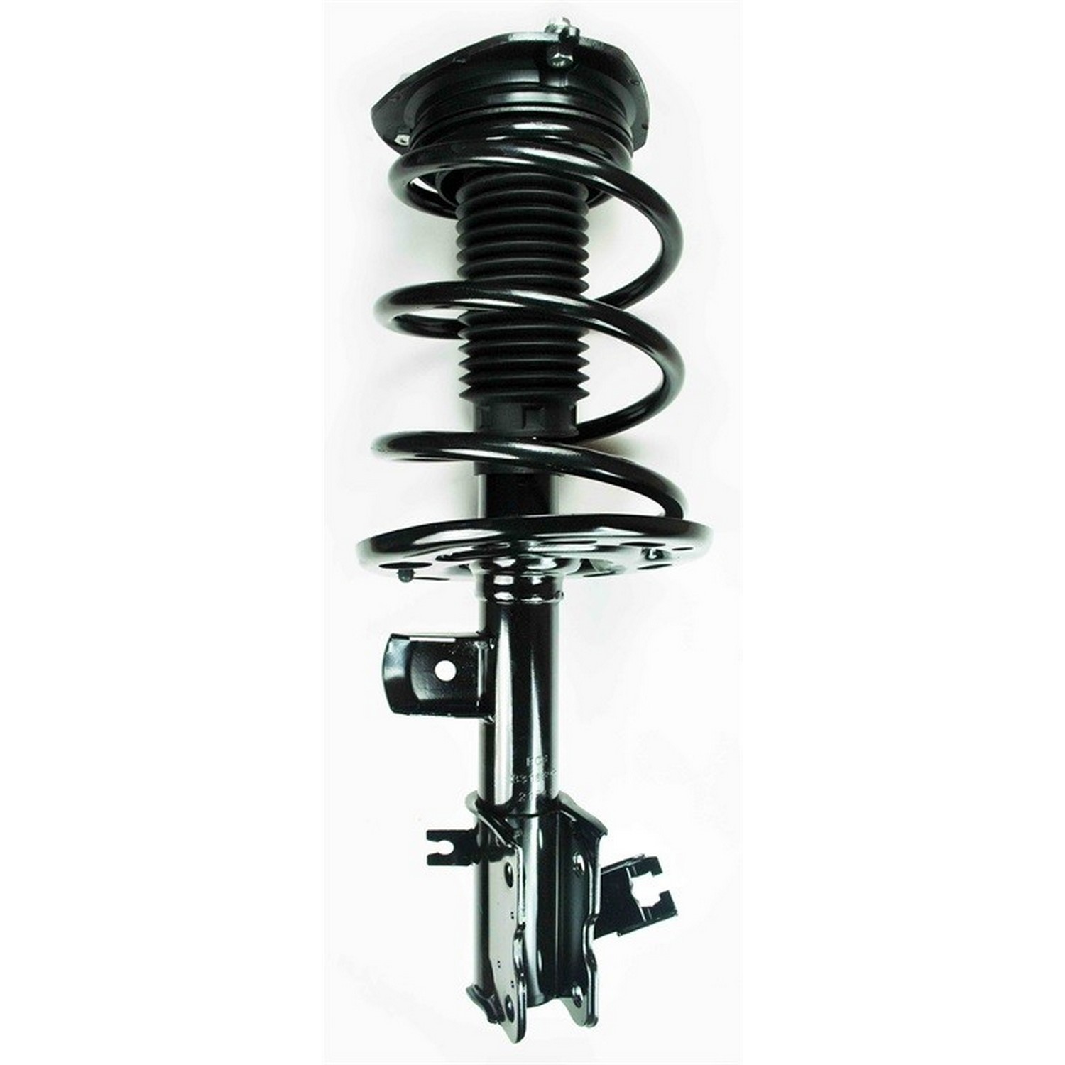 Suspension Strut and Coil Spring Assembly