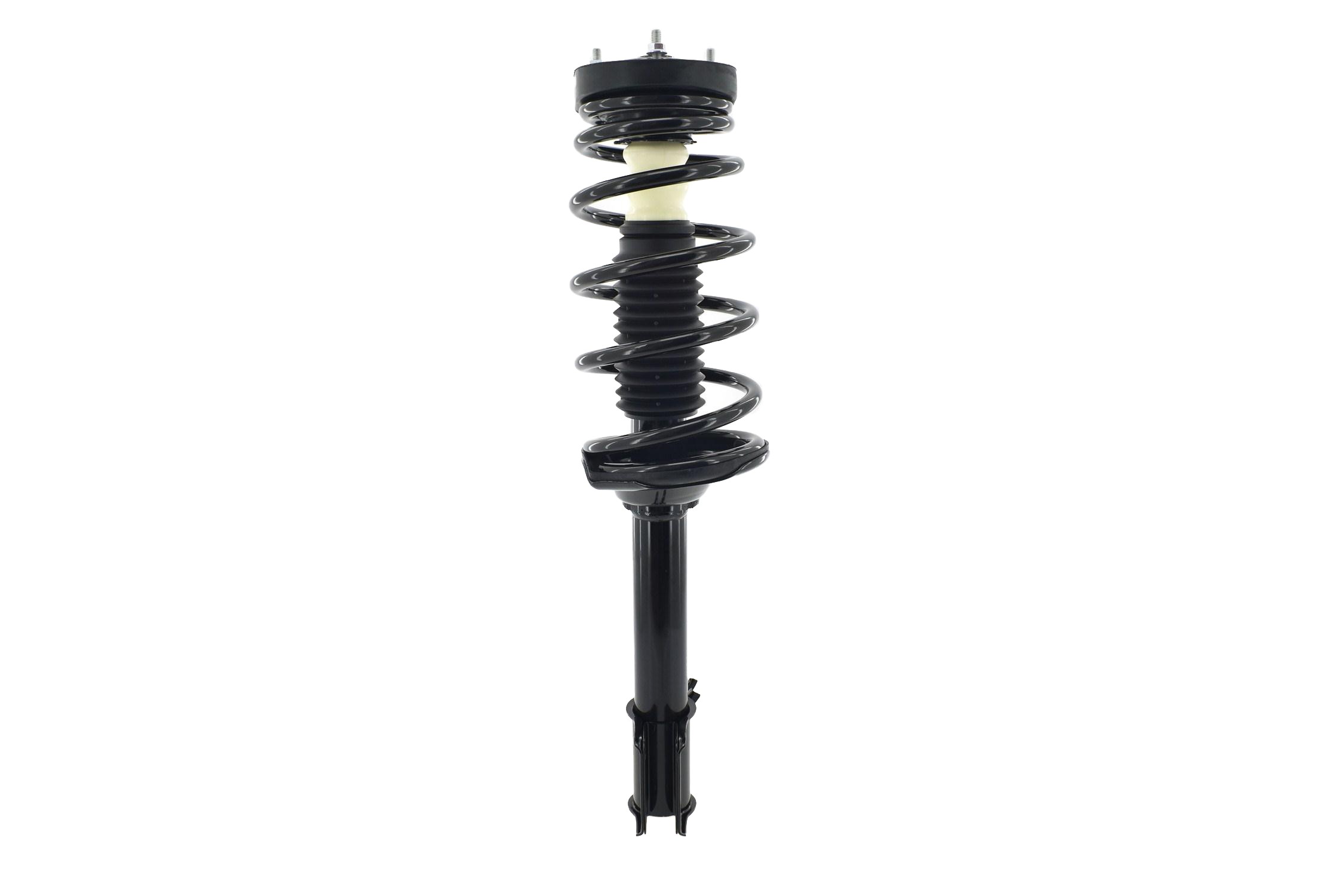 Suspension Strut and Coil Spring Assembly