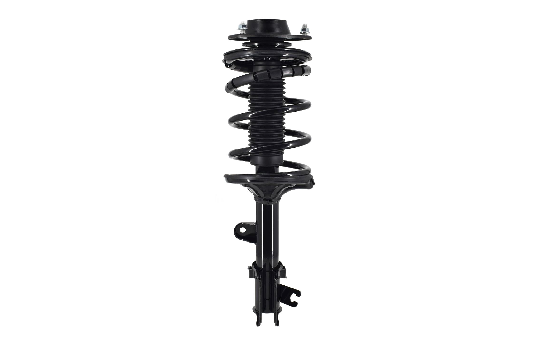 Suspension Strut and Coil Spring Assembly