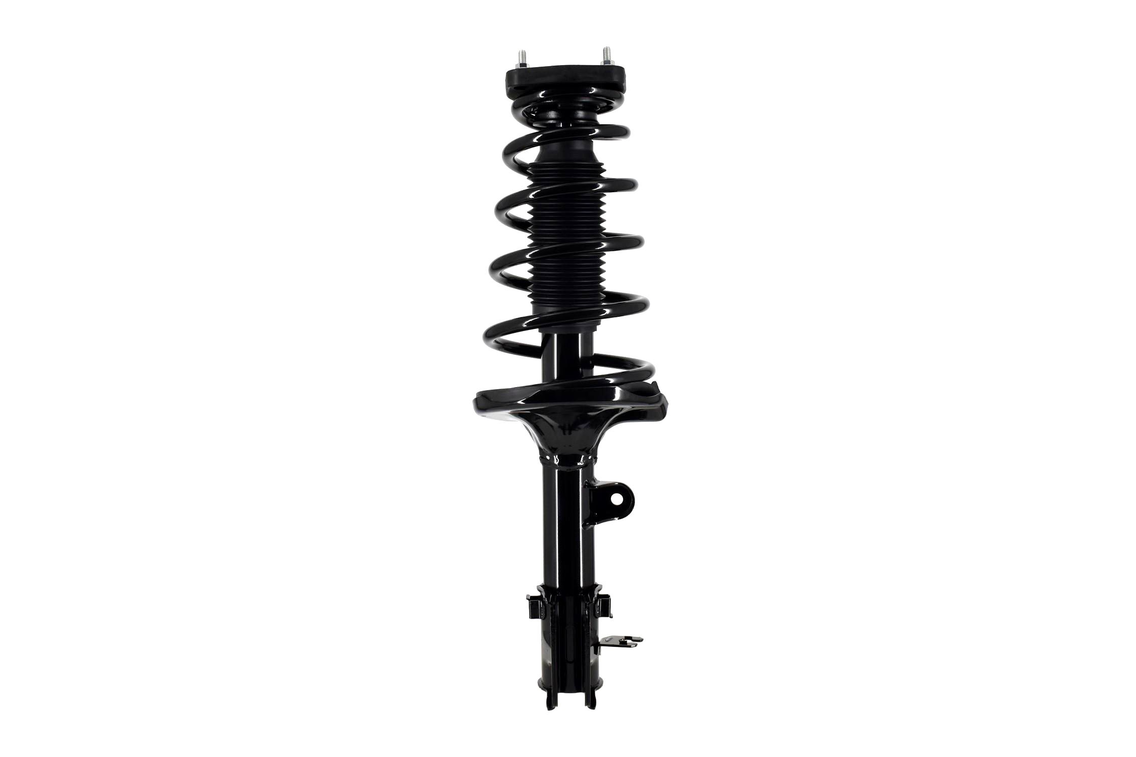 Suspension Strut and Coil Spring Assembly