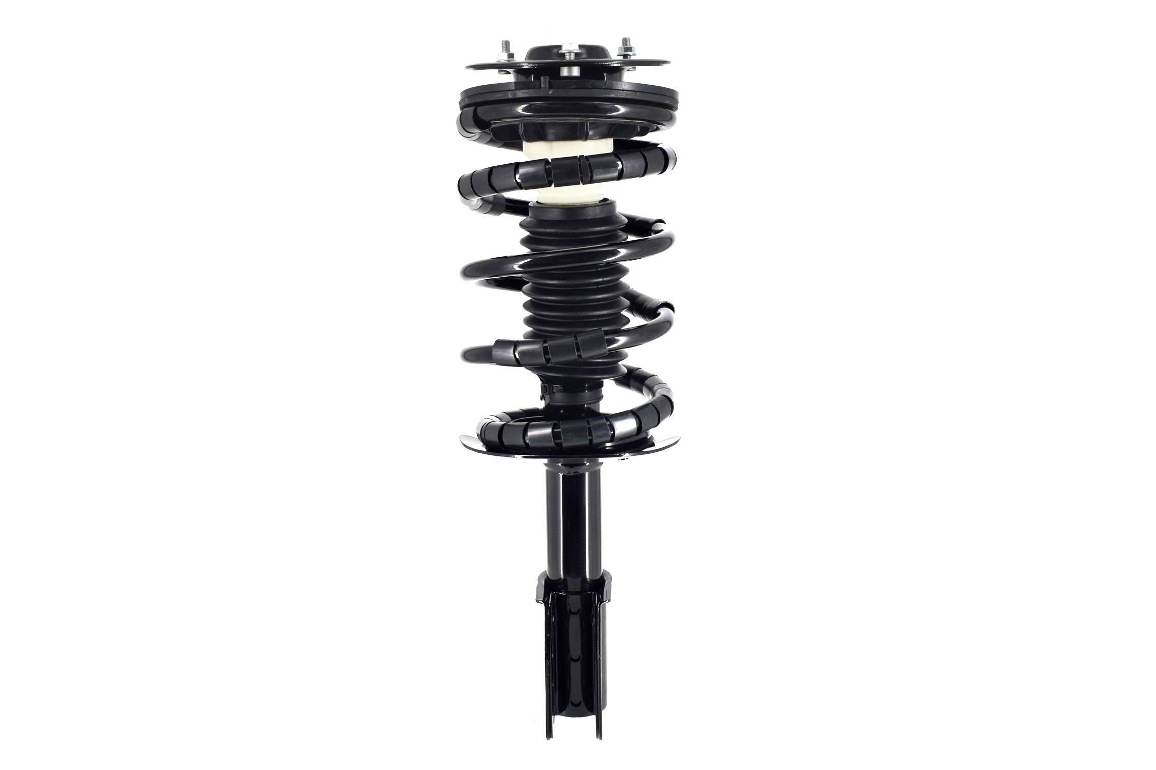 Suspension Strut and Coil Spring Assembly