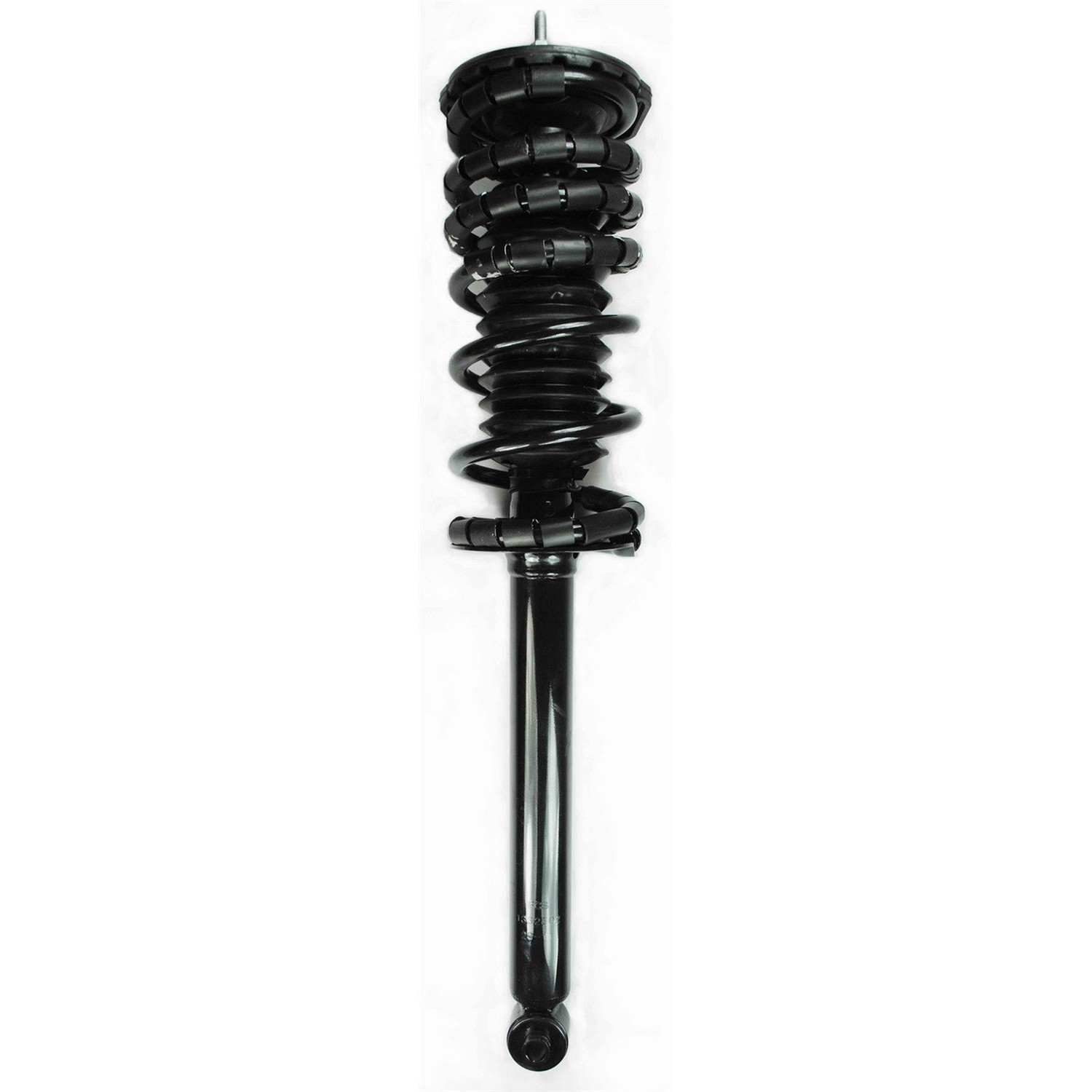 Suspension Strut and Coil Spring Assembly