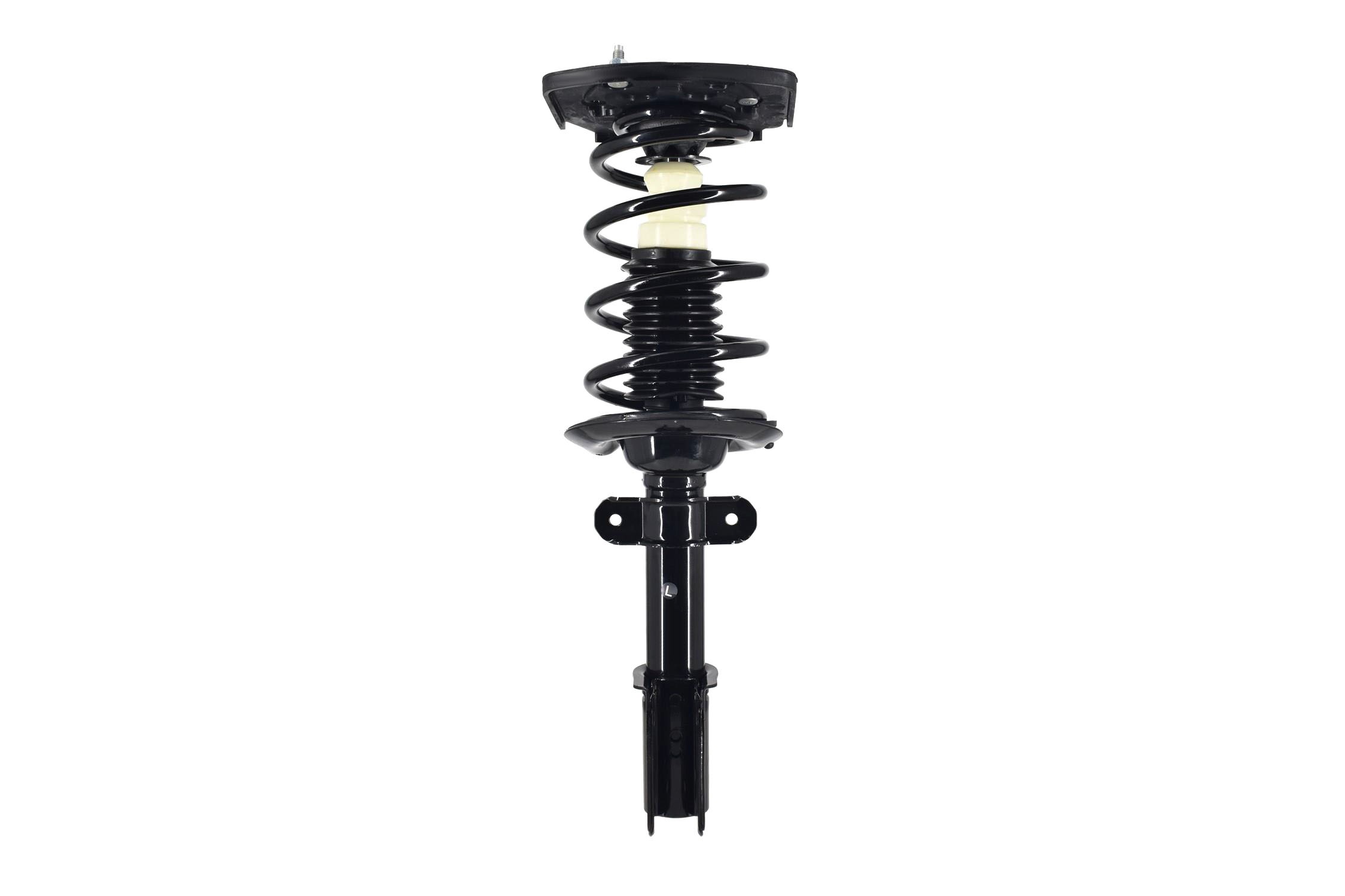Suspension Strut and Coil Spring Assembly