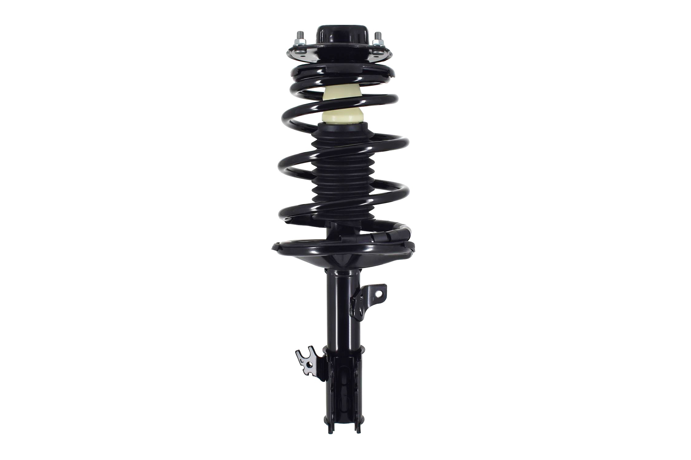 Suspension Strut and Coil Spring Assembly