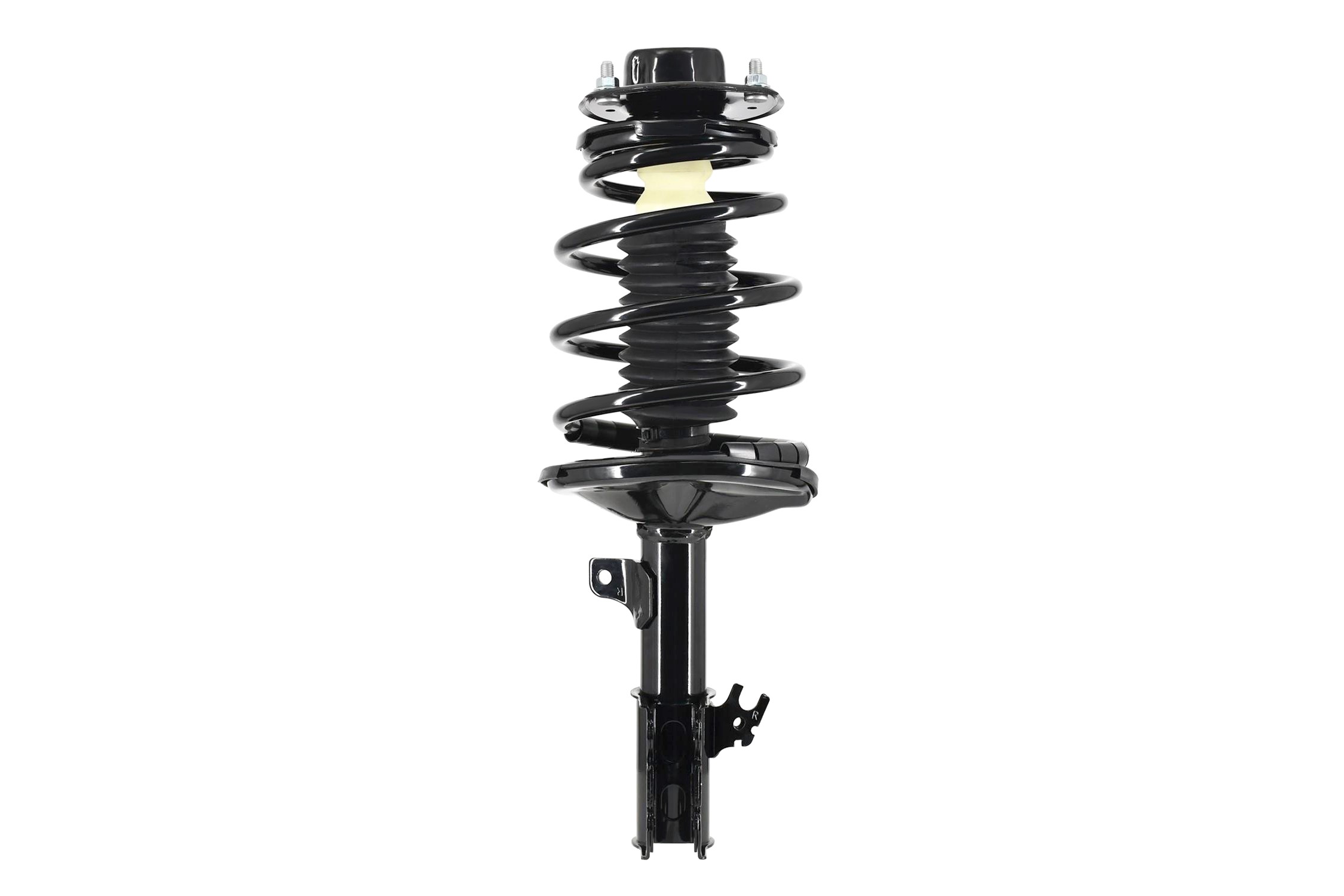Suspension Strut and Coil Spring Assembly