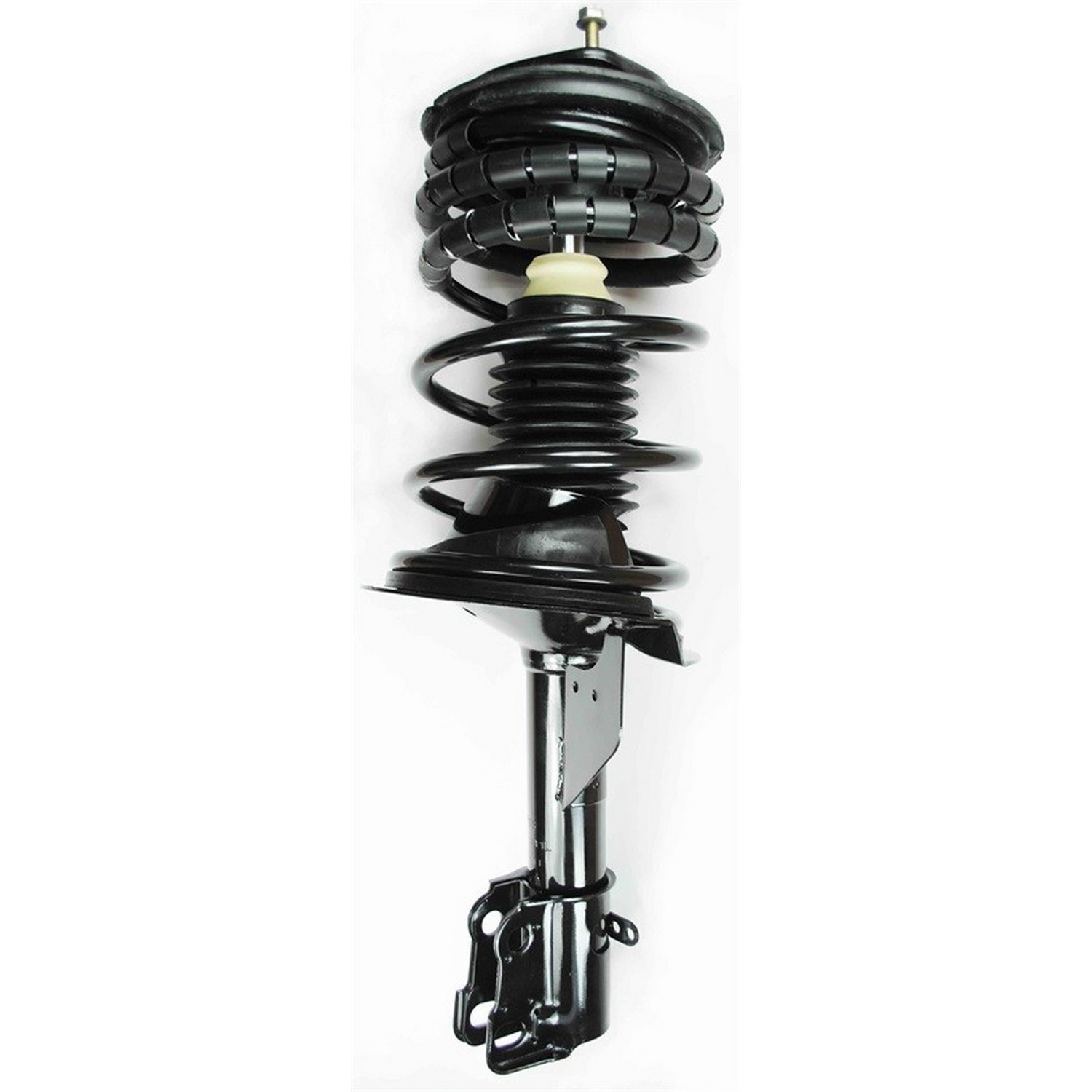 Suspension Strut and Coil Spring Assembly