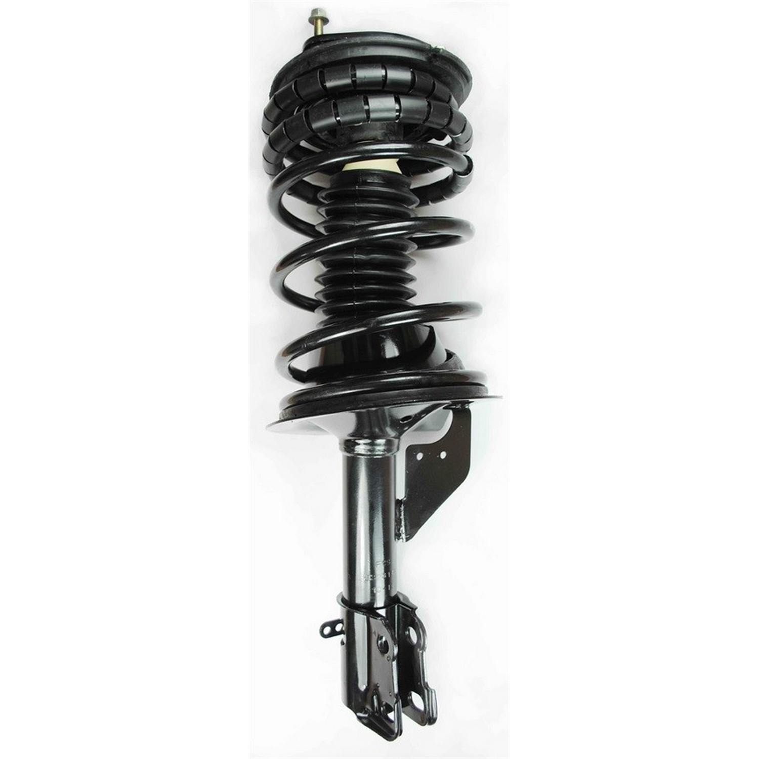 Suspension Strut and Coil Spring Assembly
