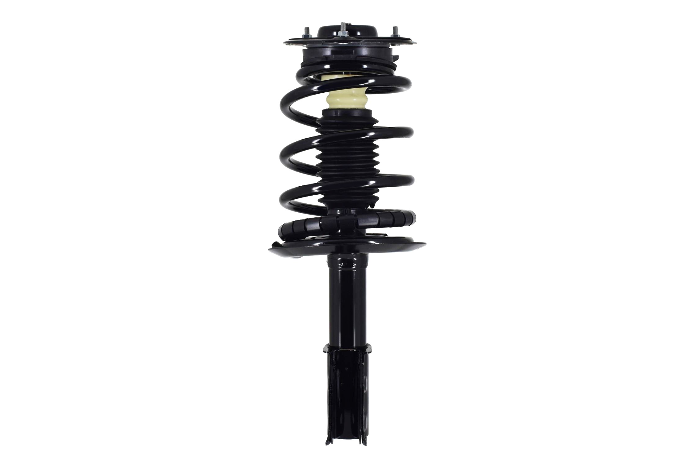 Suspension Strut and Coil Spring Assembly