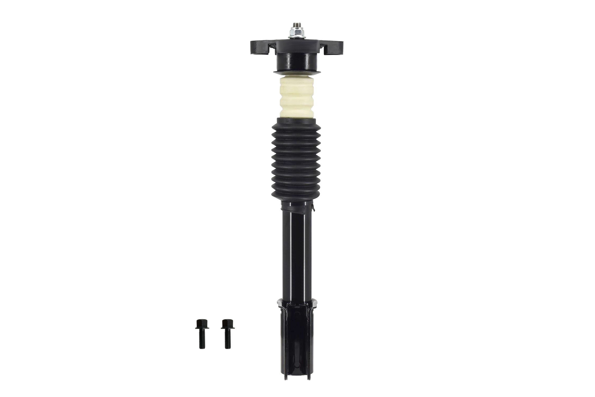 Suspension Strut and Coil Spring Assembly
