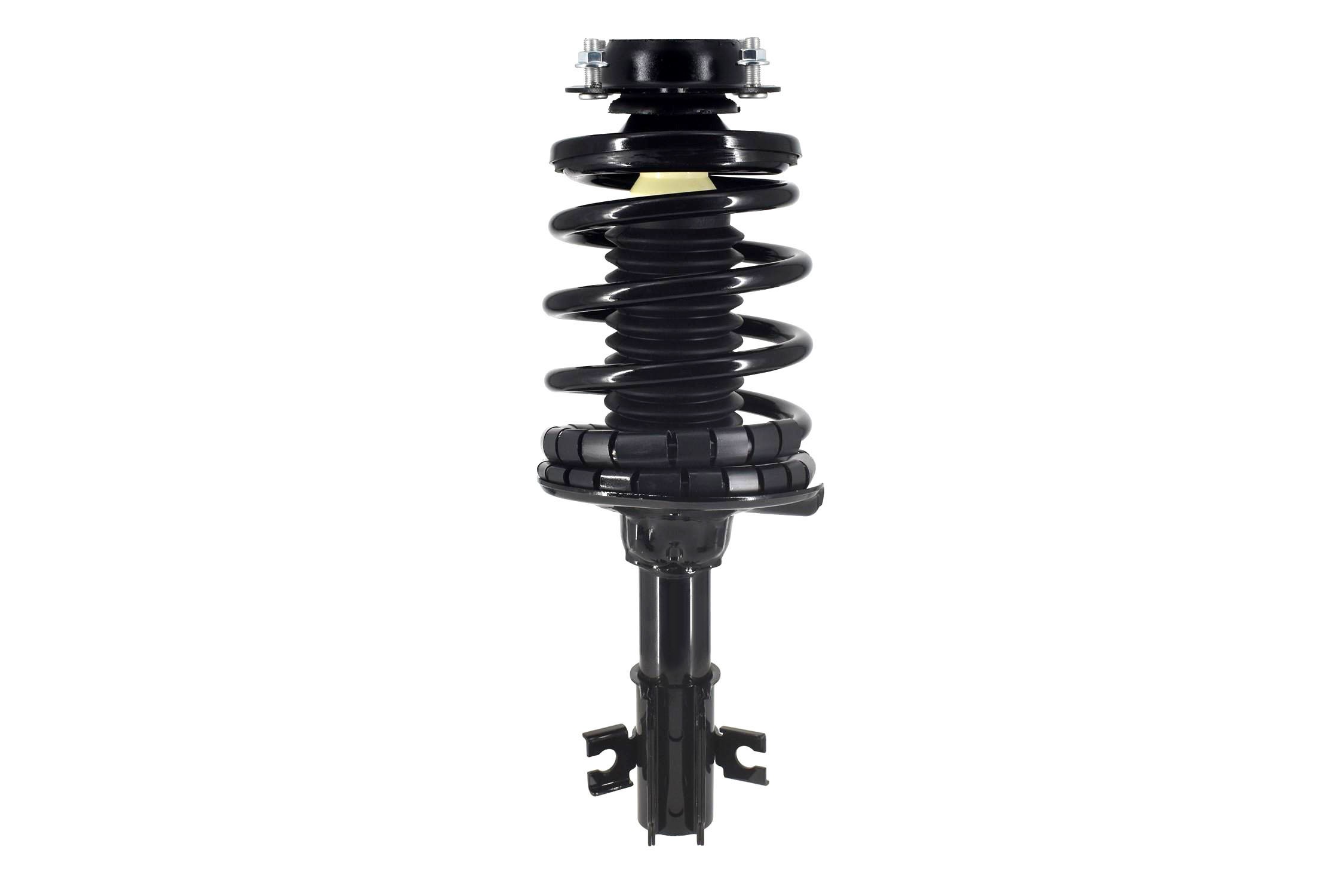 Suspension Strut and Coil Spring Assembly