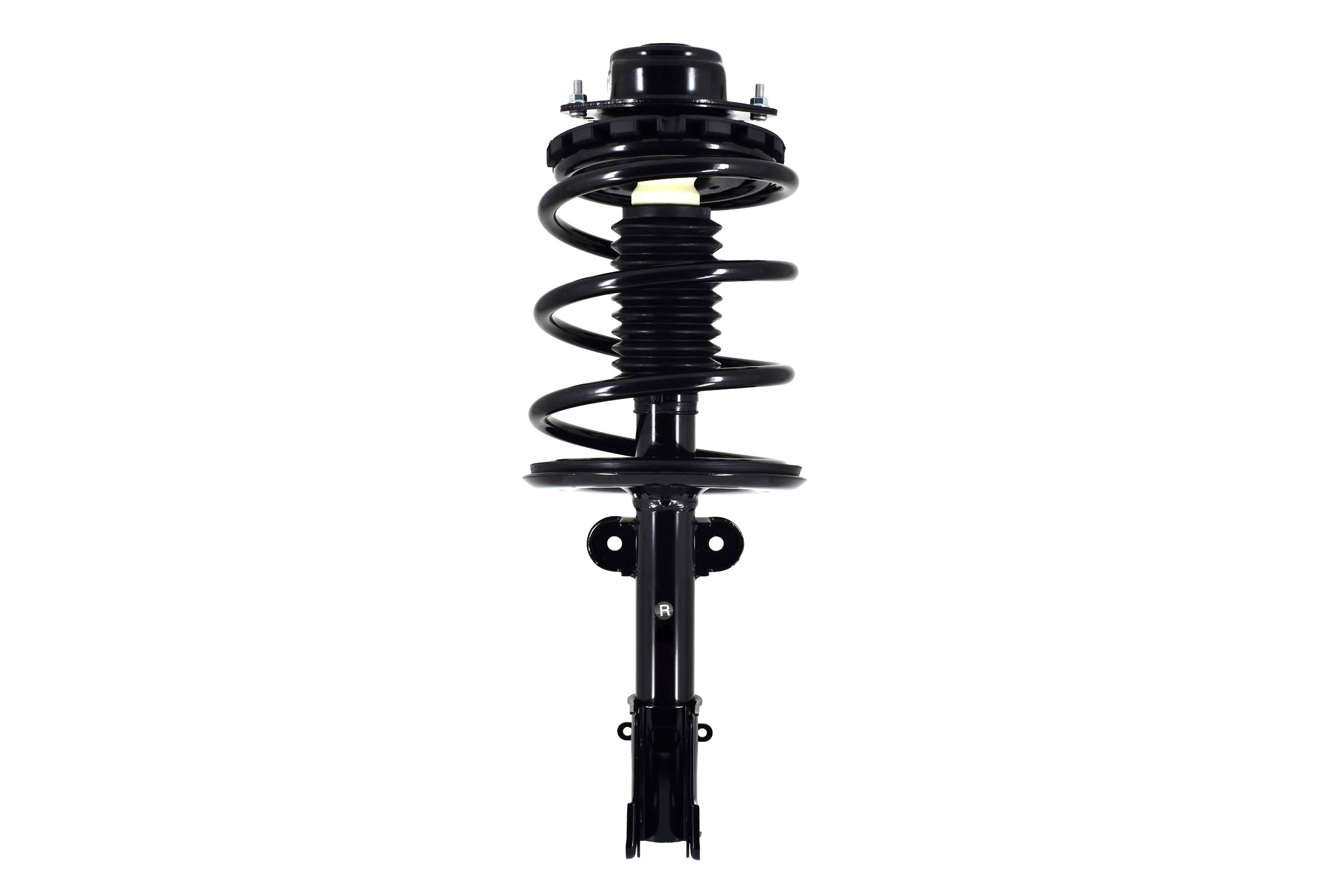 Suspension Strut and Coil Spring Assembly
